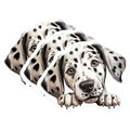 (3 Pack) Dalmatian Decals - Puppy Dog Lover - Laptop Decal - 3 Inches On Longest Side - Easy Peel & Apply - Made in USA - 3MCS8712