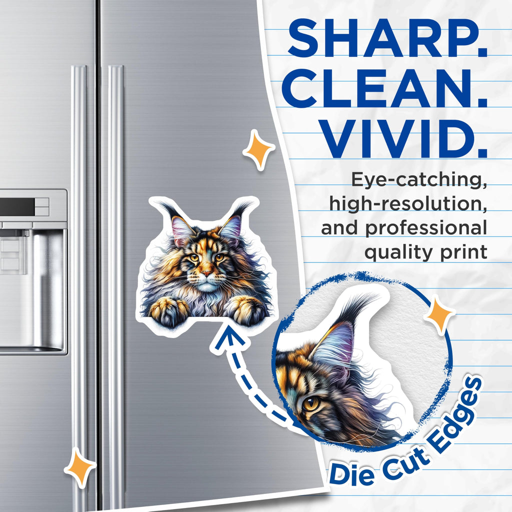 (2 Pack) Maine Coon Cat Magnets - Cute Pet Decor - Refrigerator Locker Accessories - 5" On Longest Side - Premium Magnet - for Cars, Refrigerators, Toolboxes, Lockers - Made in USA - MAG15408