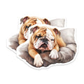 (2 Pack) Bulldog Magnets - Resting Dog Breed - Home Decor Fridge Magnets - 5" On Longest Side - Premium Magnet - for Cars, Refrigerators, Toolboxes, Lockers - Made in USA - MAG16503