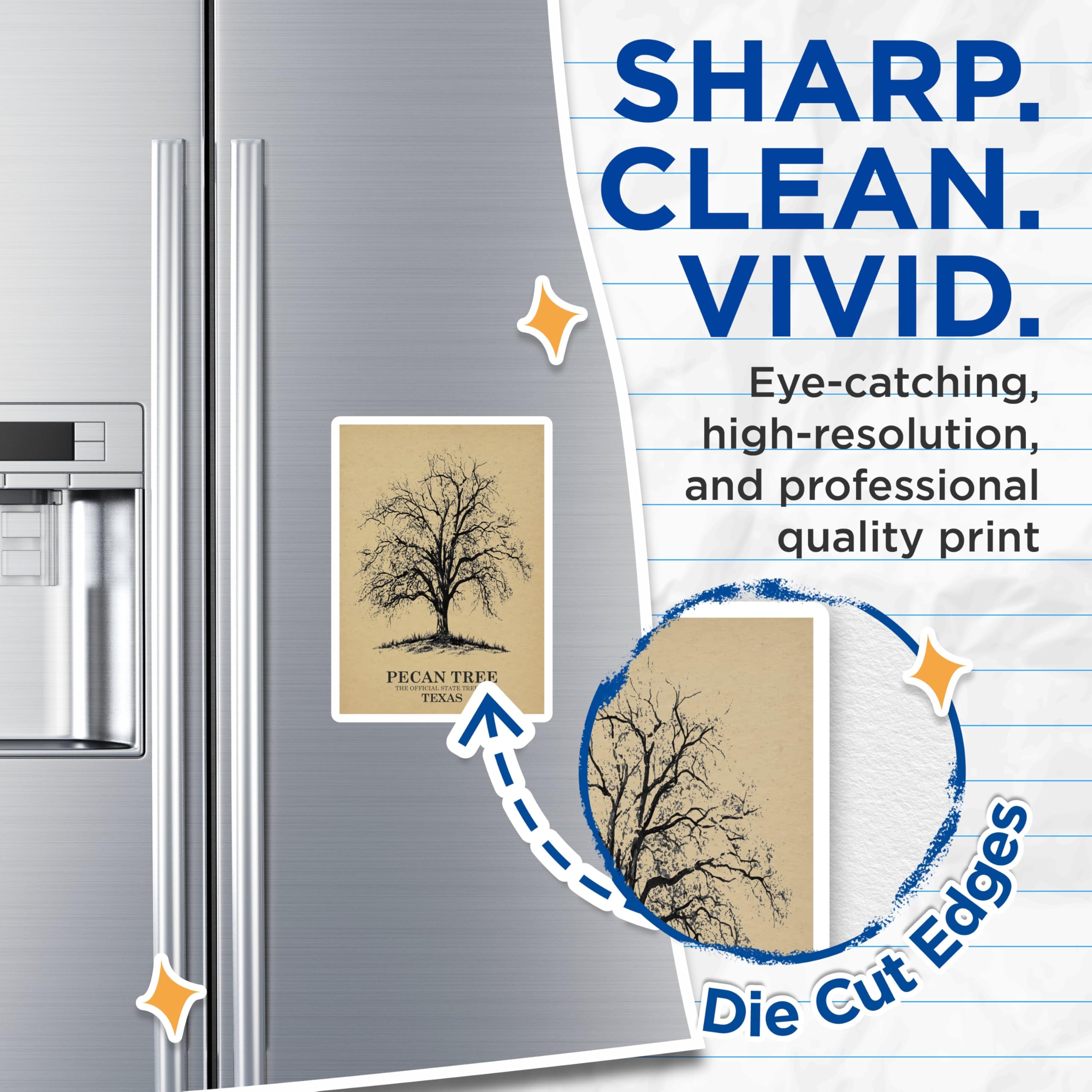 (2 Pack) Pecan Tree Magnets - Texas State Tree Decor - Nature Inspired Refrigerator Magnets - 5" On Longest Side - Premium Magnet - for Cars, Refrigerators, Toolboxes, Lockers - Made in USA - MAG17393