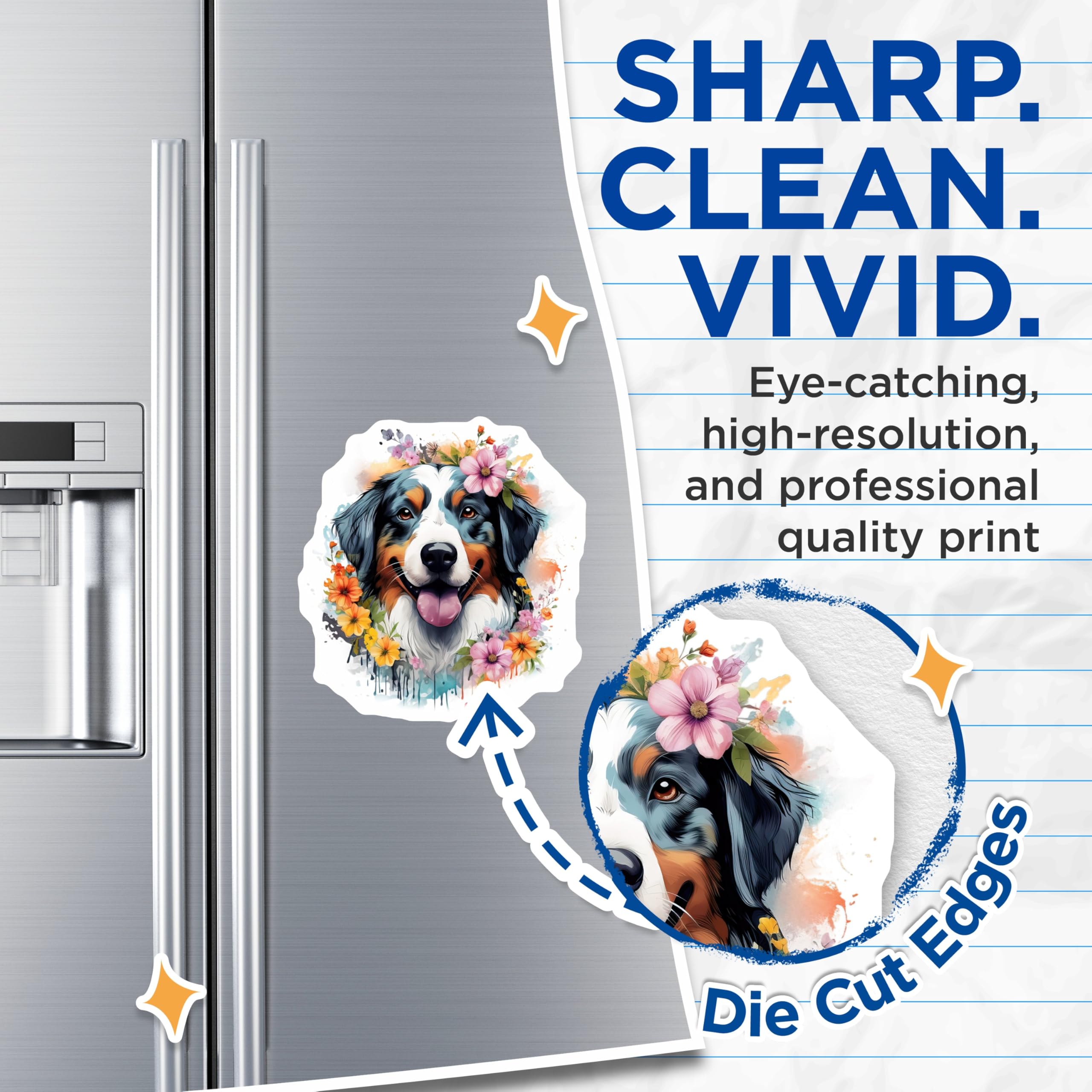 (2 Pack) Bernese Mountain Dog Magnets - Floral Aussie Shepherd Decor - Happy Pet Lover Magnets - 5 Inches On Longest Side - Thick Durable Magnet - Made in USA - MAG27863