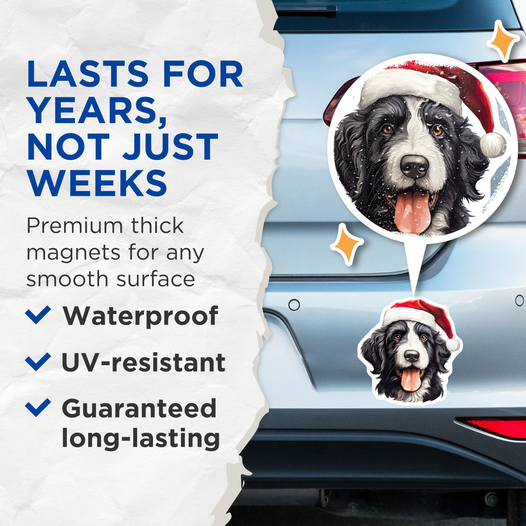 (2 Pack) Christmas Dog Magnets - Santa Hat Border Collie Art - Festive Pet Refrigerator Decor - Winter Holiday Animal Magnet - 5 Inches On Longest Side - Thick Durable Magnet - Made in USA - MAG23470