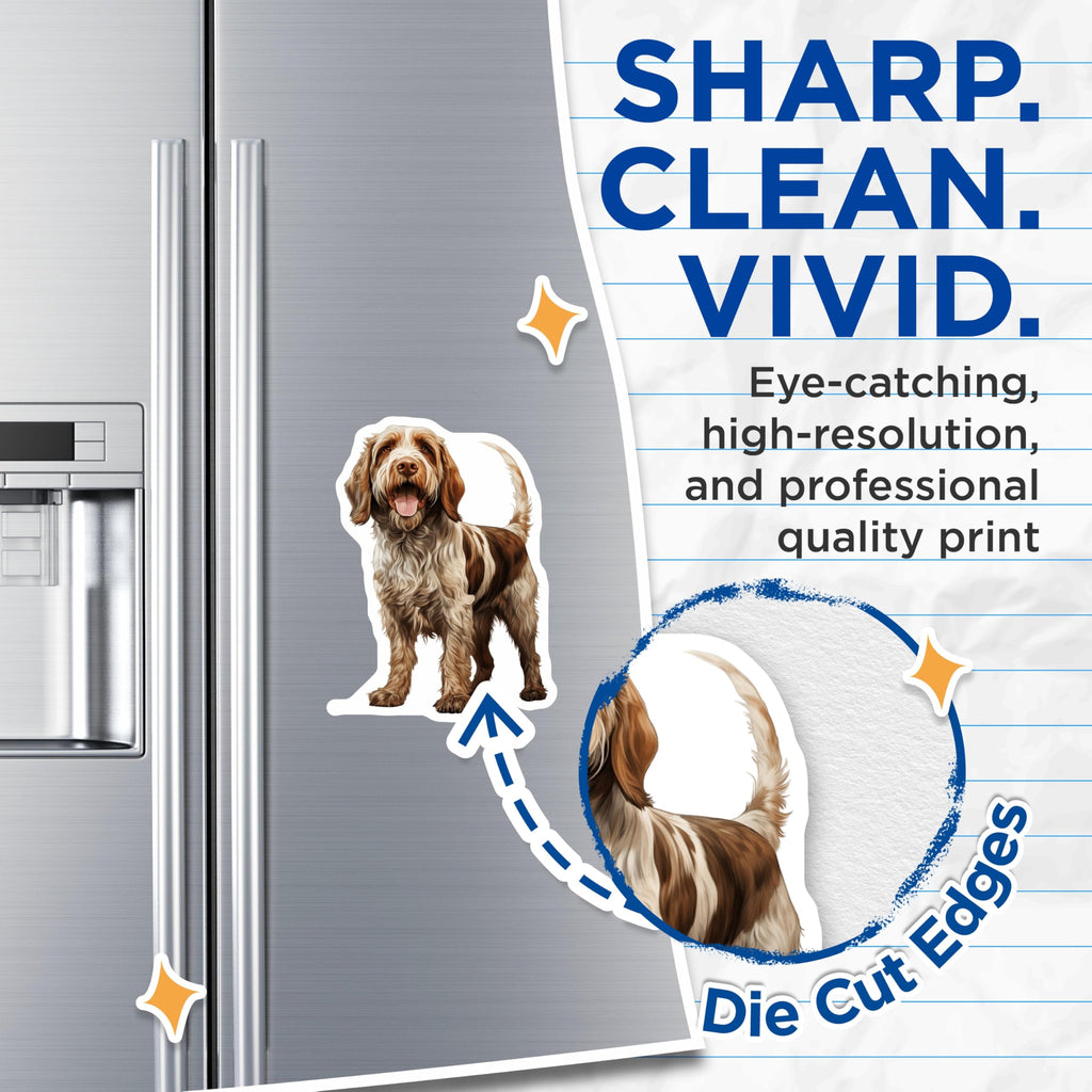 (2 Pack) Spinone Italiano Dog Magnets - Realistic Canine Art - Pet Lover Fridge Decor - 5 Inches On Longest Side - Thick Durable Magnet - Made in USA - MAG29776