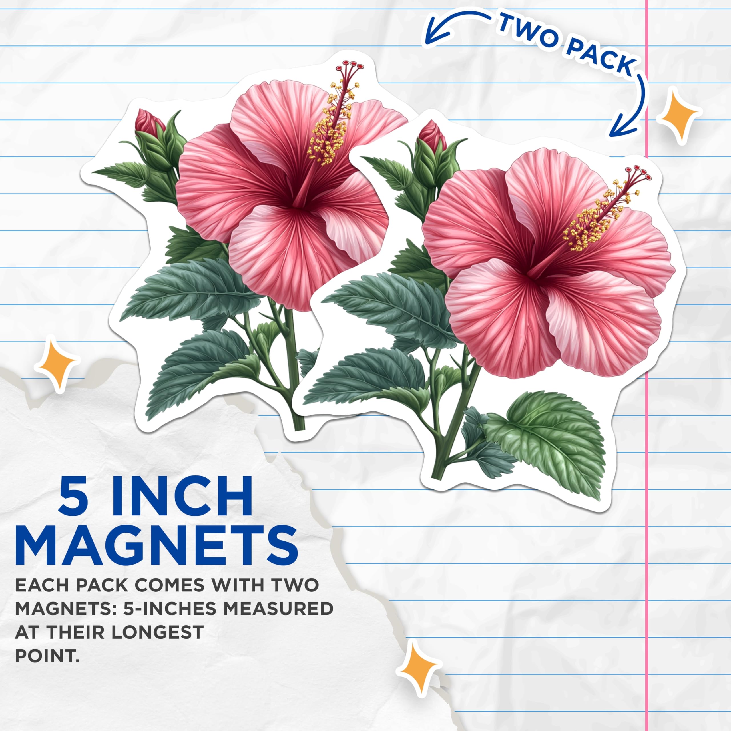 (2 Pack) Pink Hibiscus Magnets - Tropical Flower Art - Botanical Fridge Decor - Plant Lover Kitchen Aesthetic - 5 Inches On Longest Side - Thick Durable Magnet - Made in USA - MAG27998