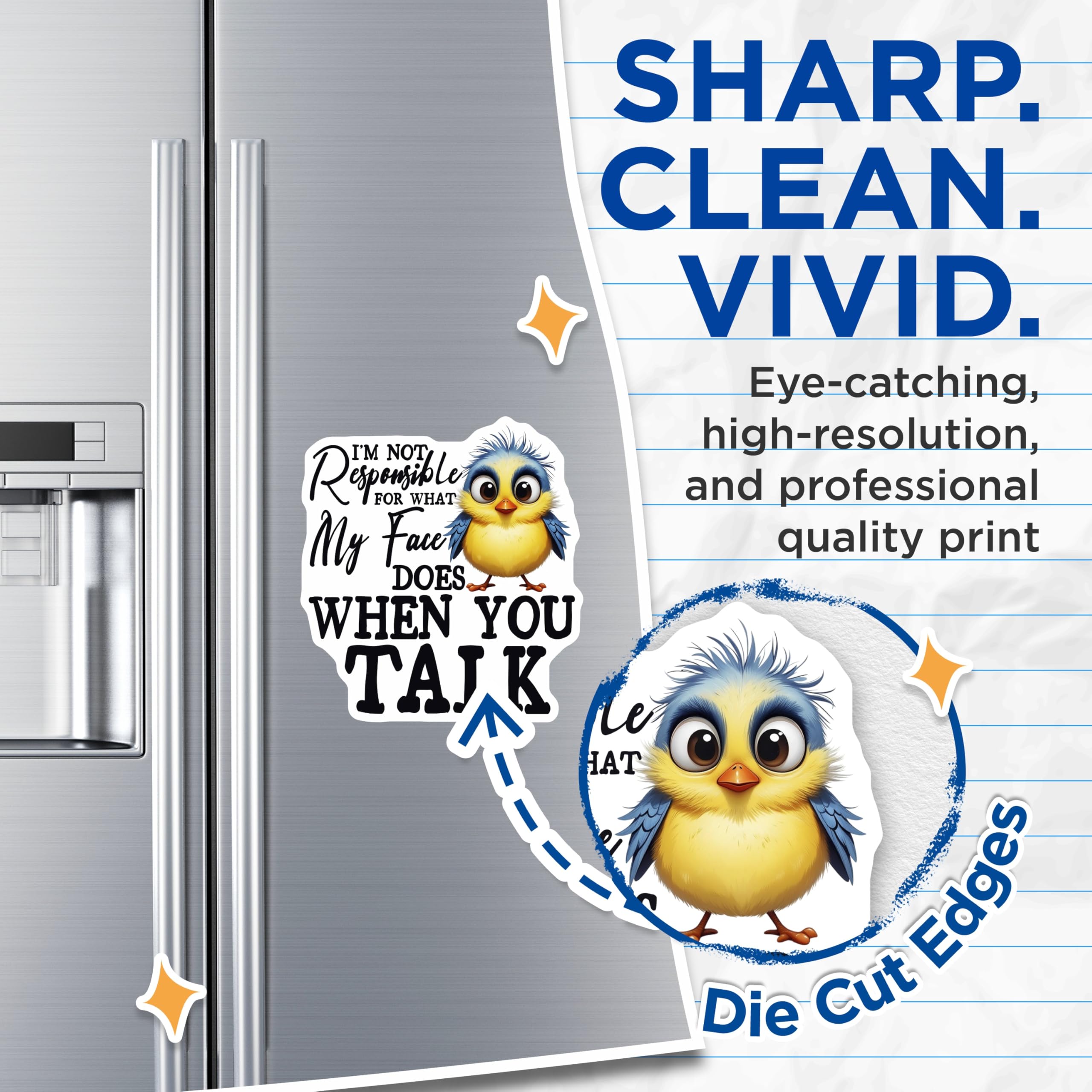 (2 Pack) Funny Bird Magnets - Sarcastic Sayings Magnet - Cute Chick Home Decor Magnets - 5" On Longest Side - Premium Magnet - for Cars, Refrigerators, Toolboxes, Lockers - Made in USA - MAG17065
