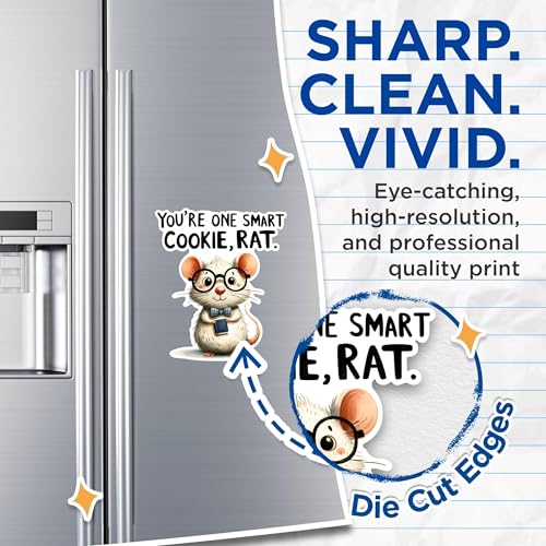 (2 Pack) Smart Cookie Rat Magnets - Funny Cute Animal Magnets - Inspirational Words Magnets- 5" On Longest Side - for Fridges, Toolboxes, Cars - Made in USA - MAG2651