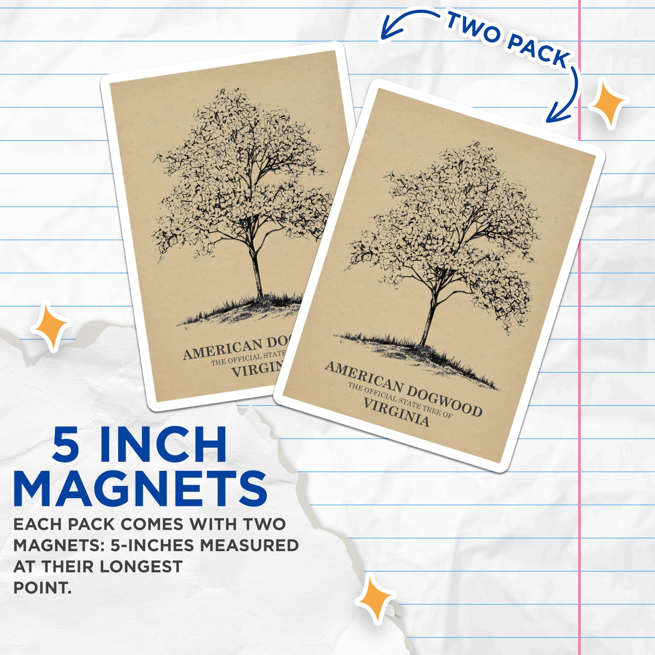(2 Pack) Dogwood Tree Magnets - Virginia State Tree Decor - Nature Botanical Art - 5" On Longest Side - Premium Magnet - for Cars, Refrigerators, Toolboxes, Lockers - Made in USA - MAG17745