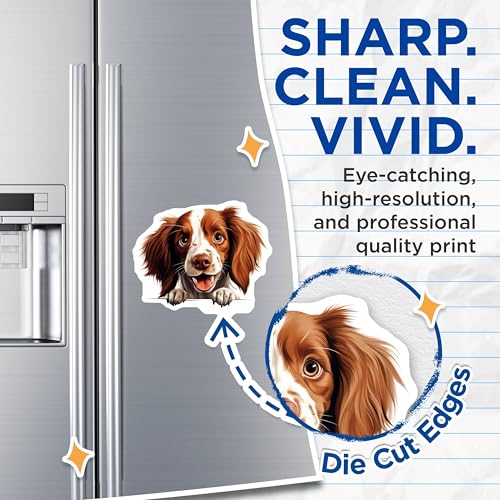 (2 Pack) Animal Lover Magnet - Refrigerator Decoration - Home Decor - 5" On Longest Side - Sticks to Smooth Flat Surfaces - Made in USA - MAG10199