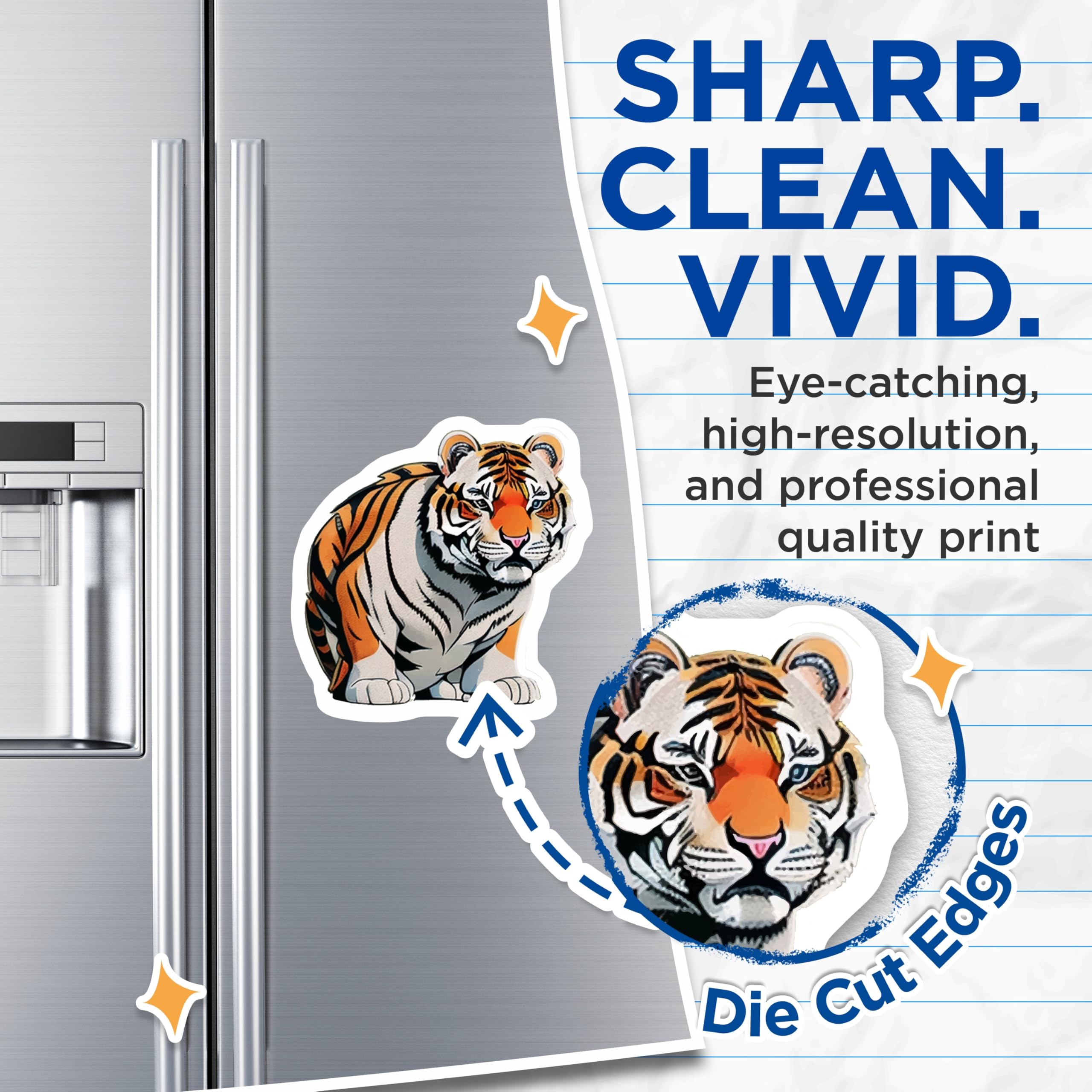 (2 Pack) Majestic Tiger Magnets - Powerful Feline Fridge Decor - Wild Animal Refrigerator Art - Big Cat Wildlife Collectible - 5 Inches On Longest Side - Thick Durable Magnet - Made in USA - MAG20265