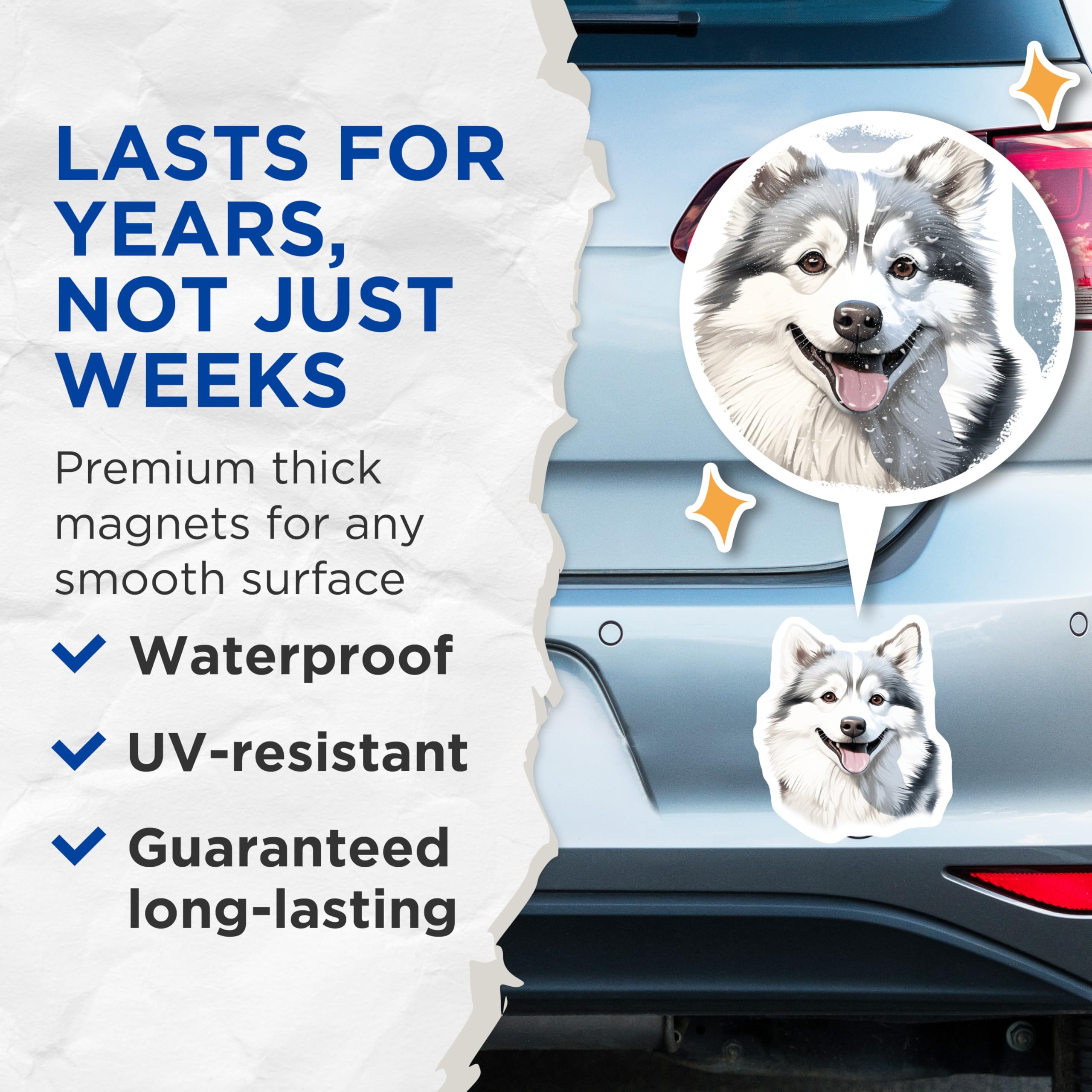 (2 Pack) Siberian Husky Magnets - Happy Canine Pet Decor - Cute Animal Art Collectible - Dog Parent Fridge Accent - 5 Inches On Longest Side - Thick Durable Magnet - Made in USA - MAG28216