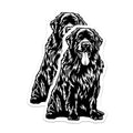 (2 Pack) Newfoundland Dog Magnets - Newfie Pet Parent Decor - Large Dog Breed Art - 5 Inches On Longest Side - Thick Durable Magnet - Made in USA - MAG39018