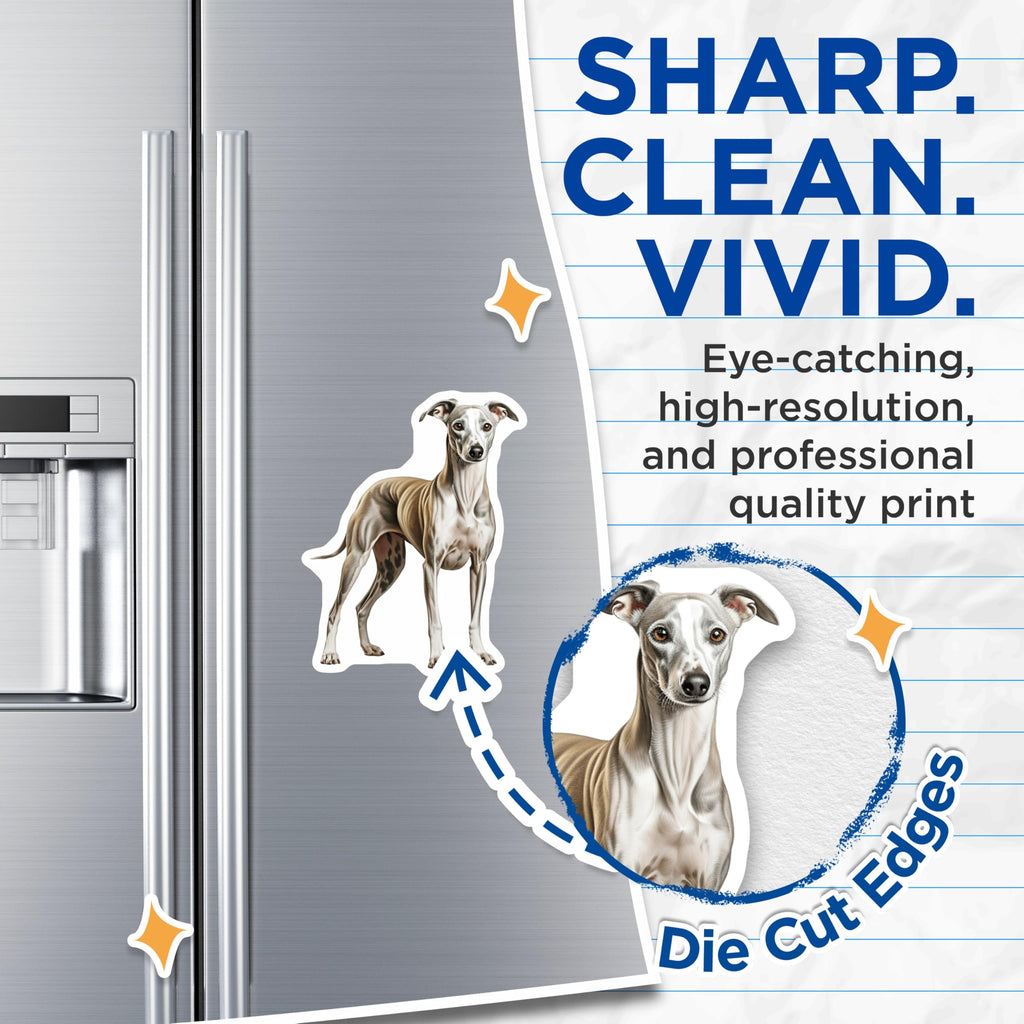 (2 Pack) Italian Greyhound Magnets - Graceful Whippet Dog Art - Sighthound Pet Lover Kennel Decor - Refrigerator Magnets - 5 Inches On Longest Side - Thick Durable Magnet - Made in USA - MAG24998