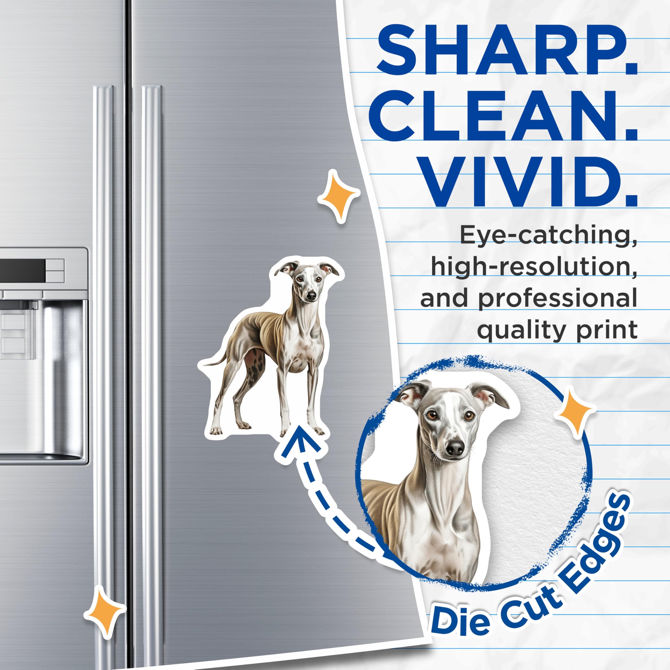 (2 Pack) Italian Greyhound Magnets - Graceful Whippet Dog Art - Sighthound Pet Lover Kennel Decor - Refrigerator Magnets - 5 Inches On Longest Side - Thick Durable Magnet - Made in USA - MAG24998