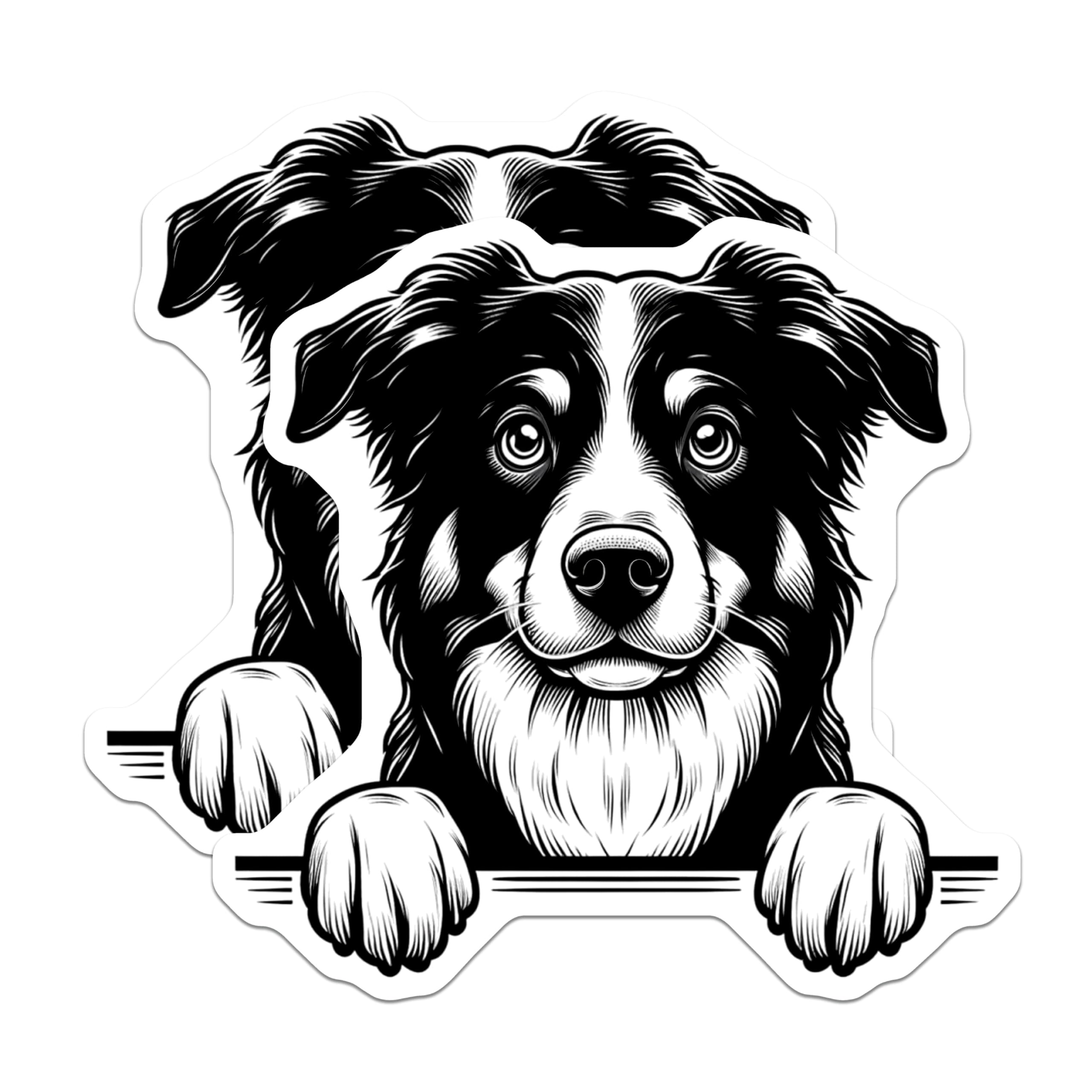 (2 Pack) Border Collie Magnets - Dog Breed Art - Refrigerator Magnets for Dog Lovers - 5" On Longest Side - Premium Magnet - for Cars, Refrigerators, Toolboxes, Lockers - Made in USA - MAG14725