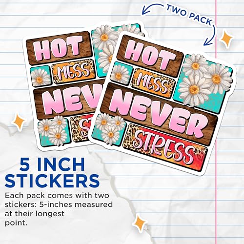 (2 Pack) Hot Mess Never Stress Stickers - Daisy Flowers - Leopard Print - 5" On Longest Side - Sticks to Smooth Flat Surfaces - Made in USA - BMCS8468