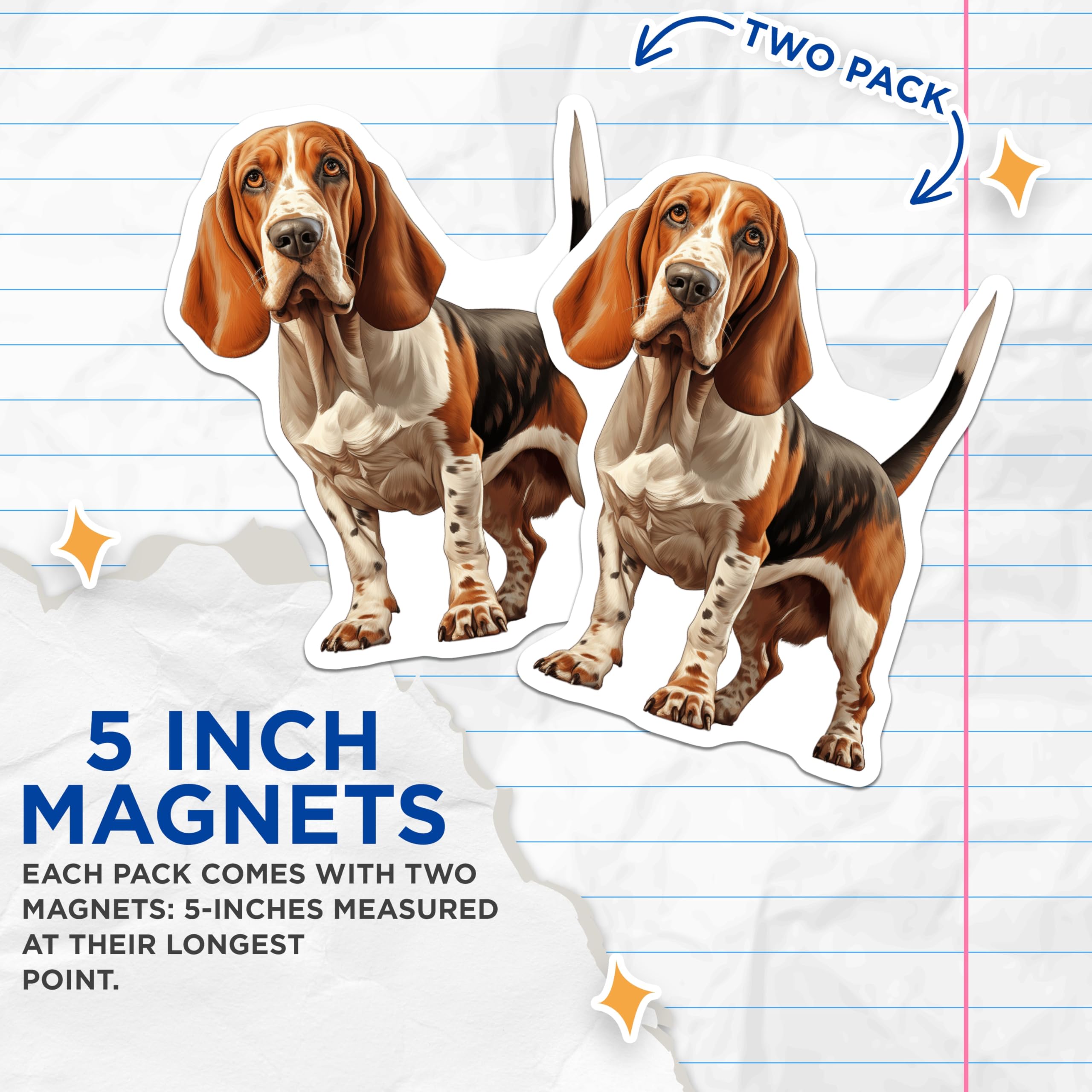 (2 Pack) Basset Hound Magnets - Dog Lover Decor - Refrigerator Animal Art - 5 Inches On Longest Side - Thick Durable Magnet - Made in USA - MAG24208