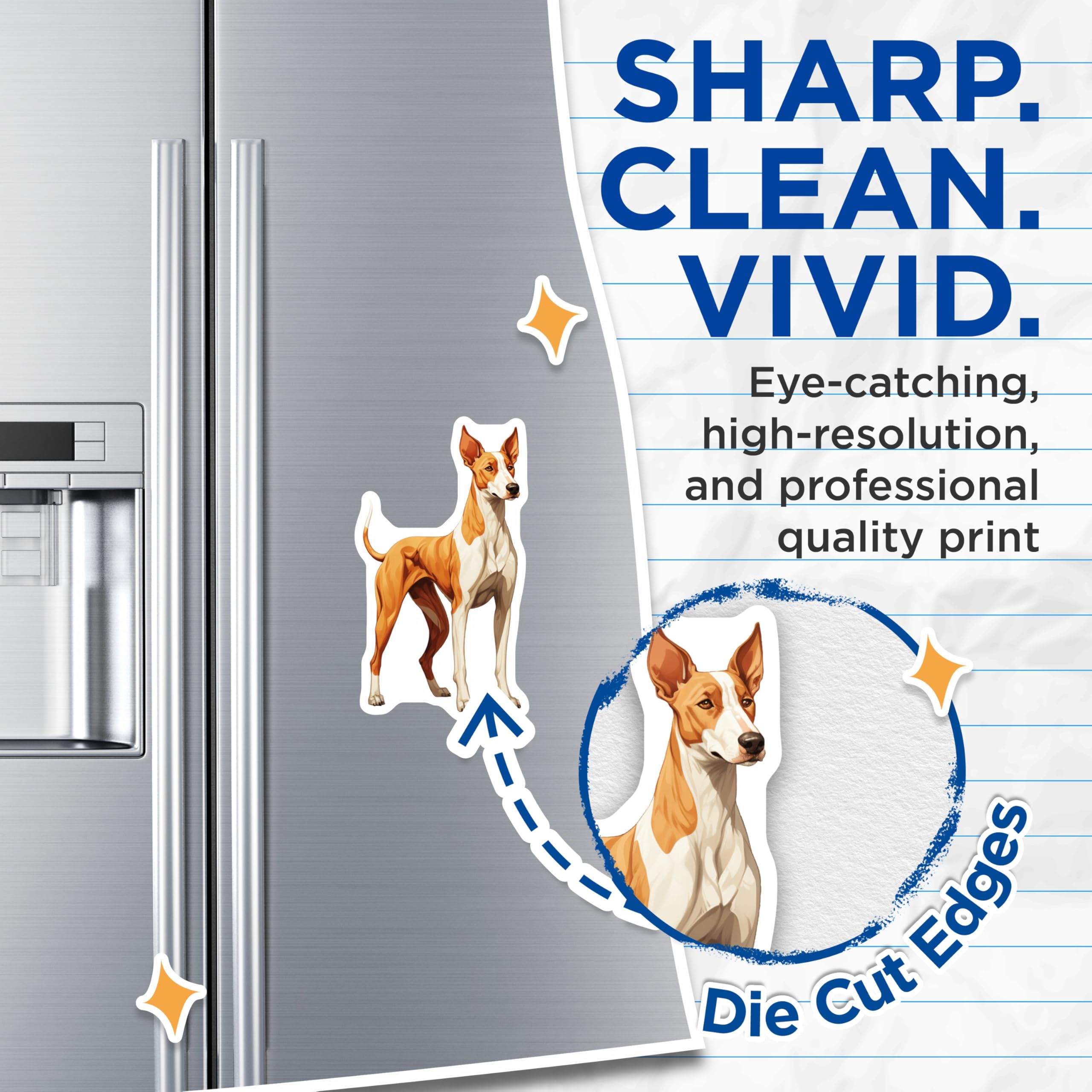 (2 Pack) Podenco Dog Magnets - Ibizan Hound Art - Sighthound Breed Decor - Pet Lover Refrigerator Magnet - 5 Inches On Longest Side - Thick Durable Magnet - Made in USA - MAG24254