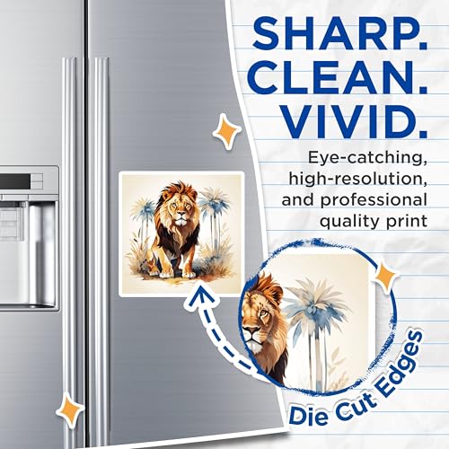 (2 Pack) Lion Magnets Magnets - Wildlife Kitchen Decor - 5" On Longest Side - Made in USA - Sticks to Refrigerators & Metal Surfaces - MAG8696