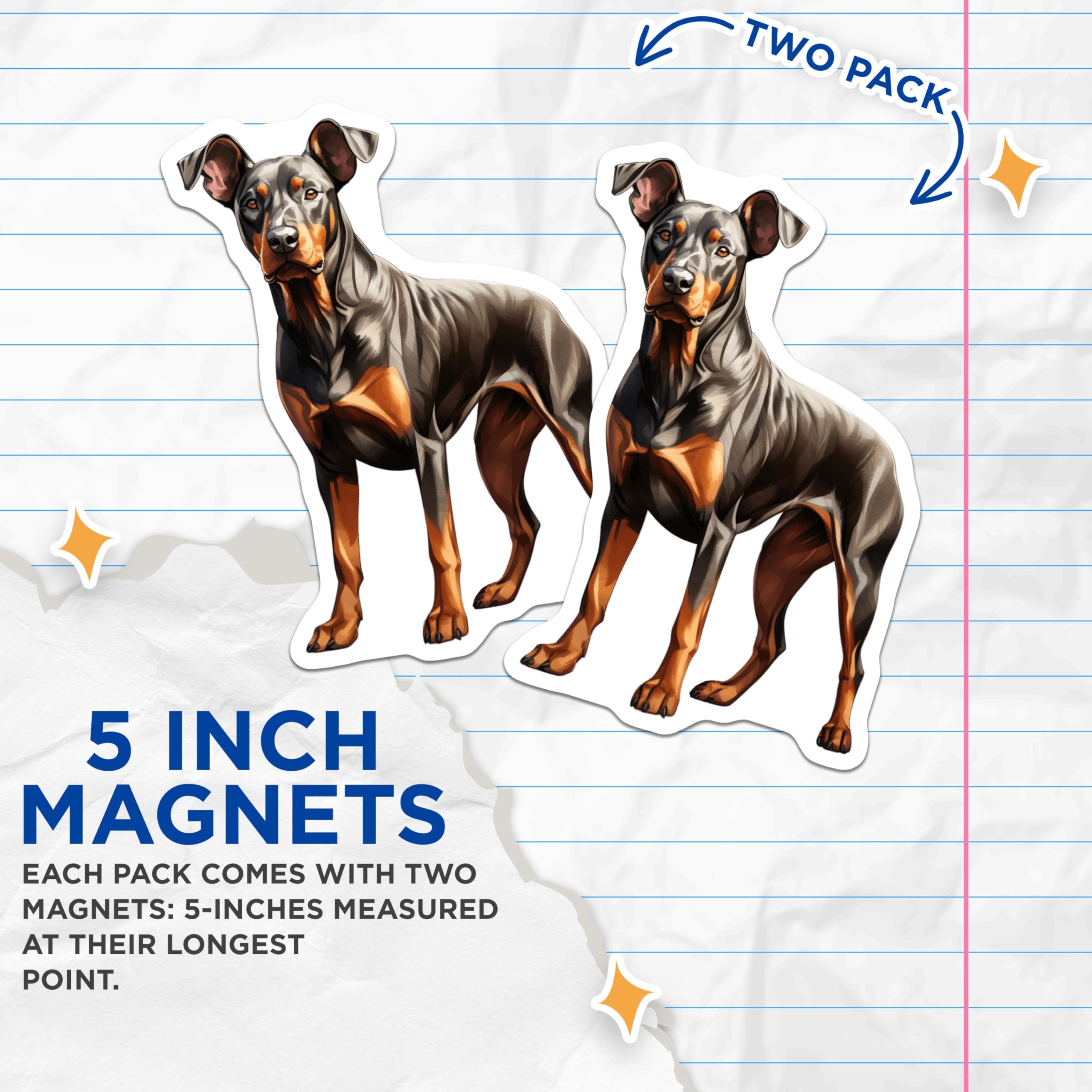 (2 Pack) Doberman Pinscher Magnets - Dog Lover Kitchen Decor - Pet Parent Refrigerator Magnets - 5 Inches On Longest Side - Thick Durable Magnet - Made in USA - MAG28448