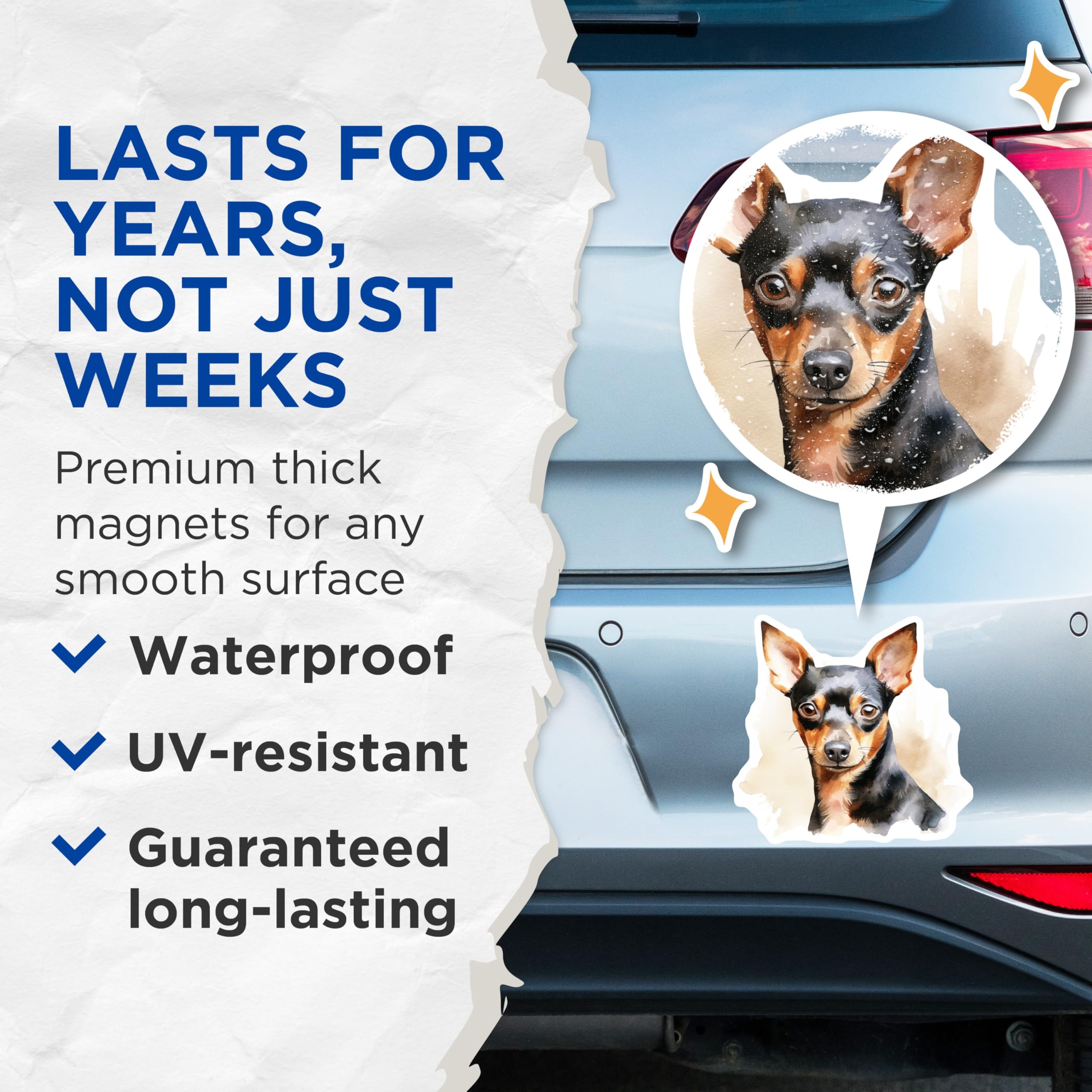 (2 Pack) Miniature Pinscher Magnets - Watercolor Min Pin Dog Art - Dog Mom Dad Fridge Decor - Small Breed Canine Accent - 5 Inches On Longest Side - Thick Durable Magnet - Made in USA - MAG30618