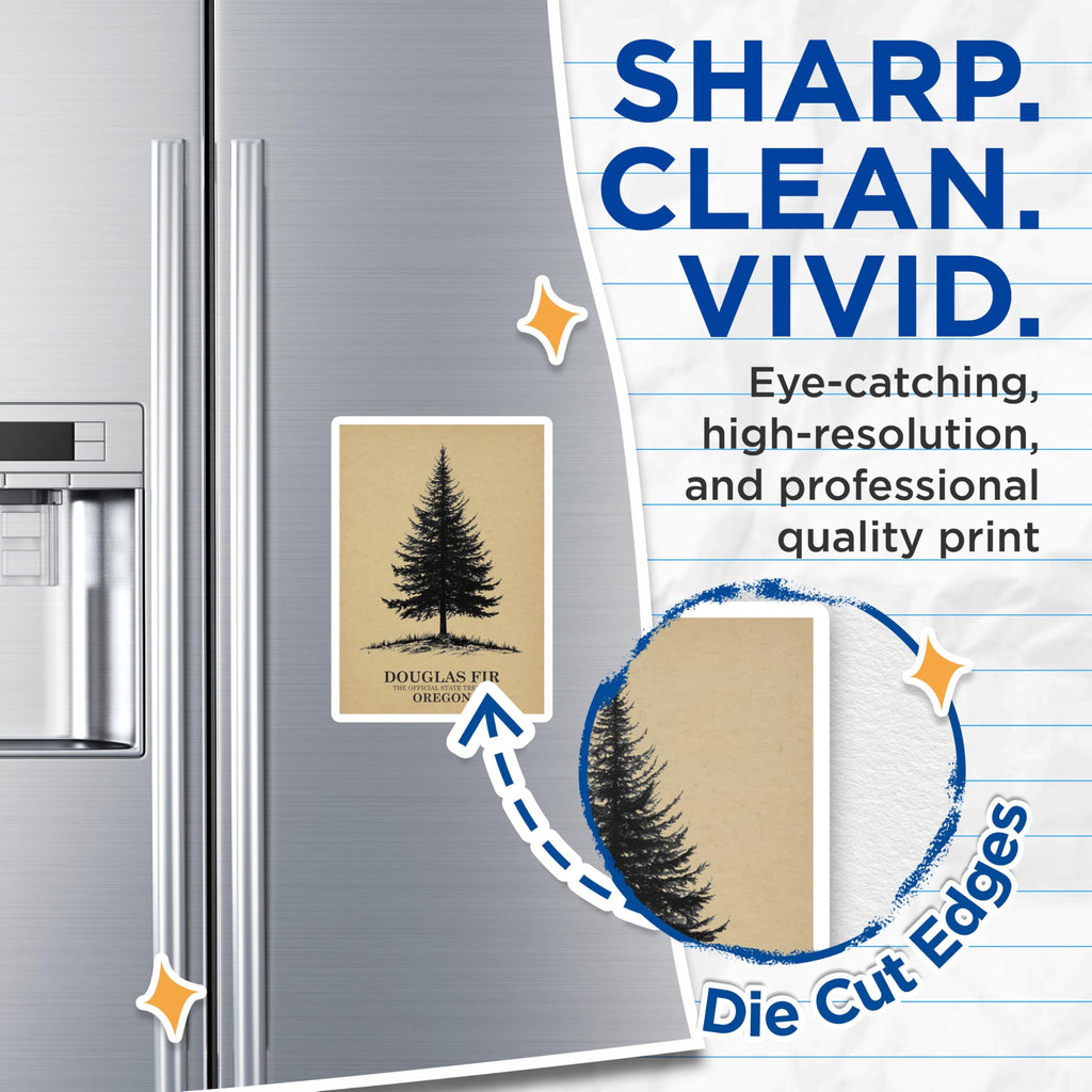 (2 Pack) Douglas Fir Magnets - Oregon State Tree - Botanical Art Magnets - 5" On Longest Side - Premium Magnet - for Cars, Refrigerators, Toolboxes, Lockers - Made in USA - MAG18228