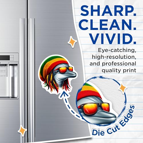 (2 Pack) Dolphin Reggae Magnets - Cool Rasta Dolphin Magnet - Fun Animal Magnets for Fridge - Funky Magnet - 5" On Longest Side - for Cars, Fridges, Toolboxes - Made in USA - MAG4381
