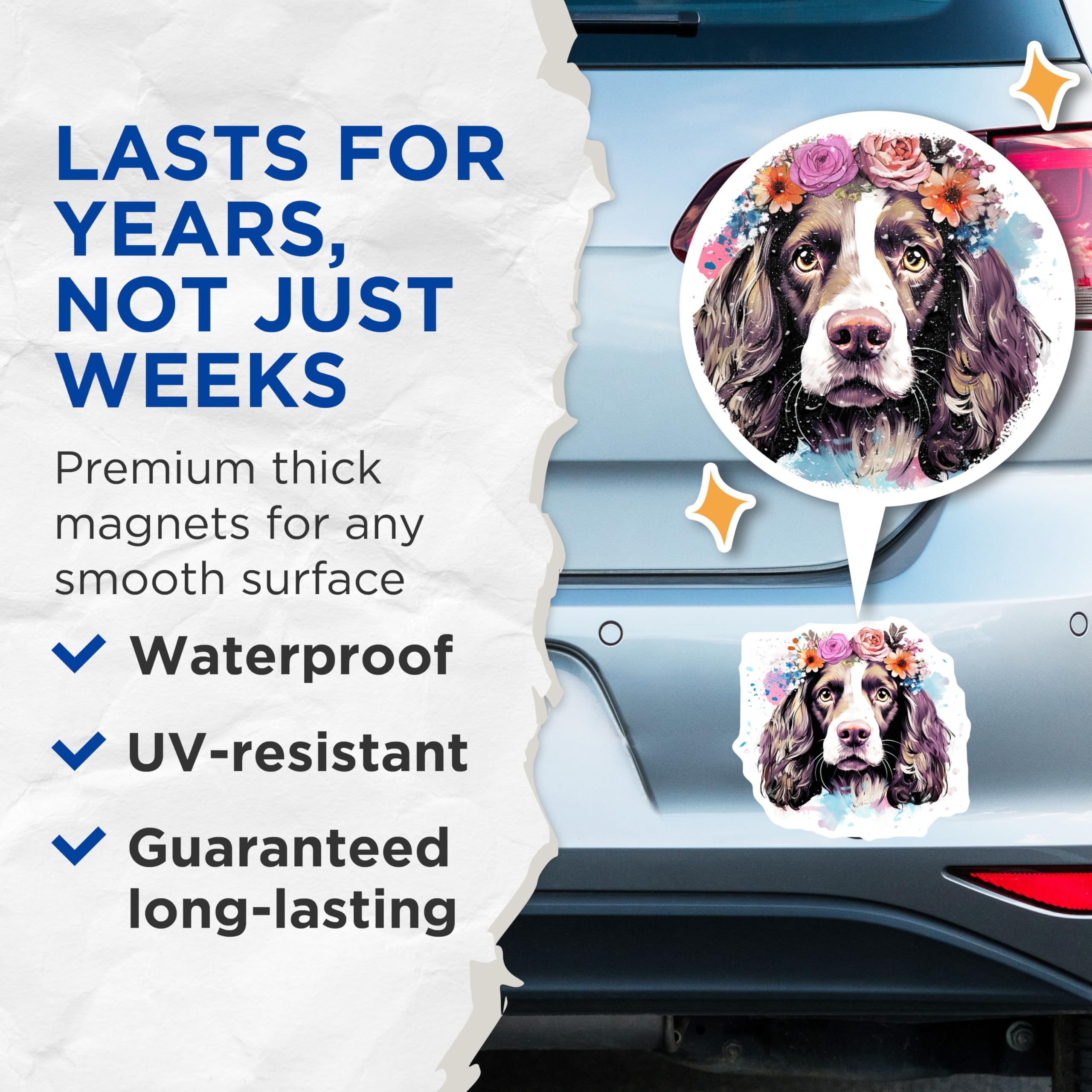 (2 Pack) Watercolor Springer Spaniel Magnets - Flower Crown Dog Art - Pet Lover Home Decor - 5 Inches On Longest Side - Thick Durable Magnet - Made in USA - MAG24294