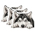 (3 Pack) Husky Dog Decals - Laptop Decals - Cute Animal Stickers - 3 Inches On Longest Side - Easy Peel & Apply - Made in USA - 3MCS8582
