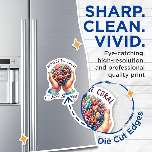 (2 Pack) Protect The Coral Magnets - Save The Reef - Vibrant Ocean Life Decor - Environmental Conservation - 5" On Longest Side - for Cars, Fridges, Toolboxes - Made in USA - MAG7966