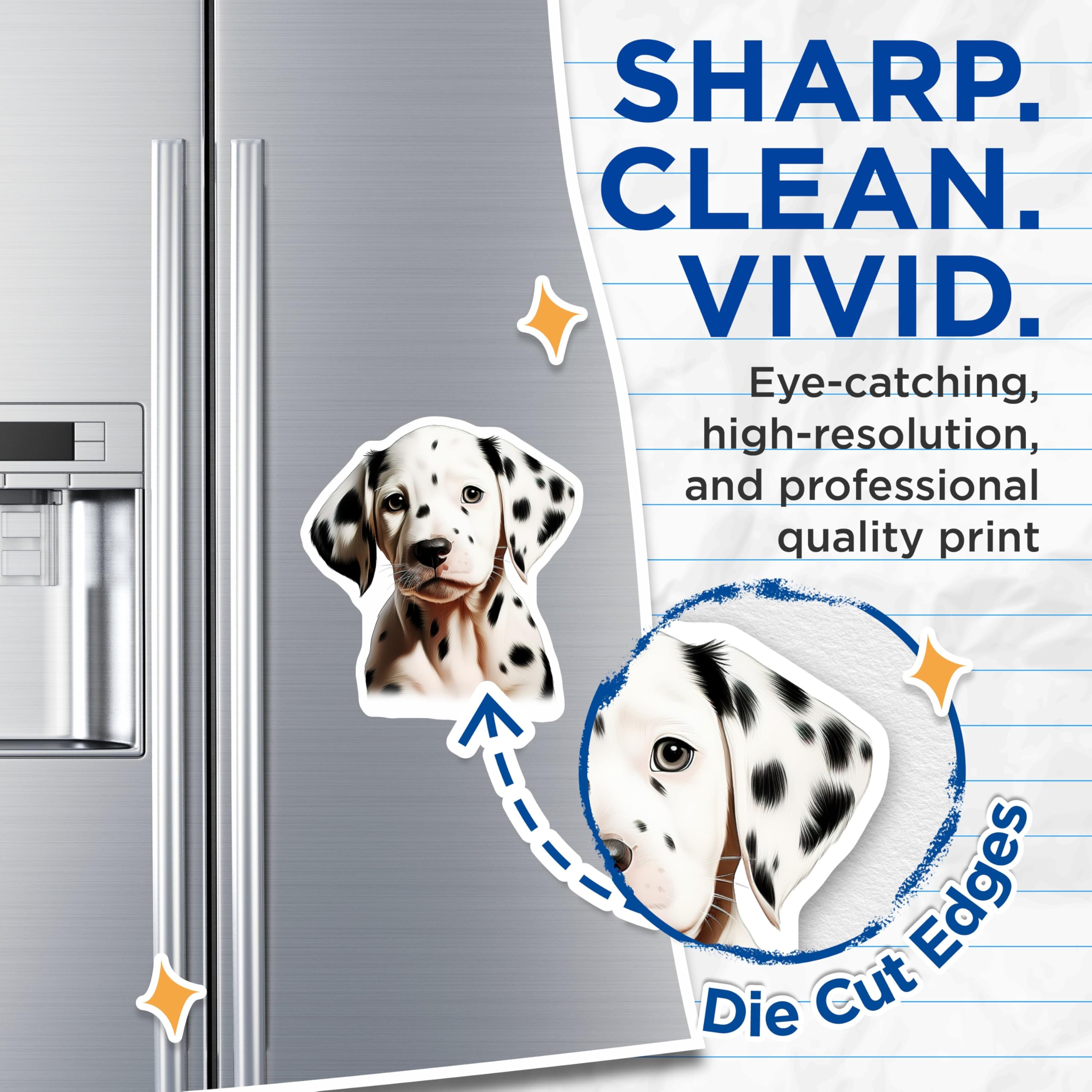 (2 Pack) Dalmatian Puppy Magnets - Cute Spotted Dog Artwork - Animal Lover Fridge Locker Decor - 5 Inches On Longest Side - Thick Durable Magnet - Made in USA - MAG24417