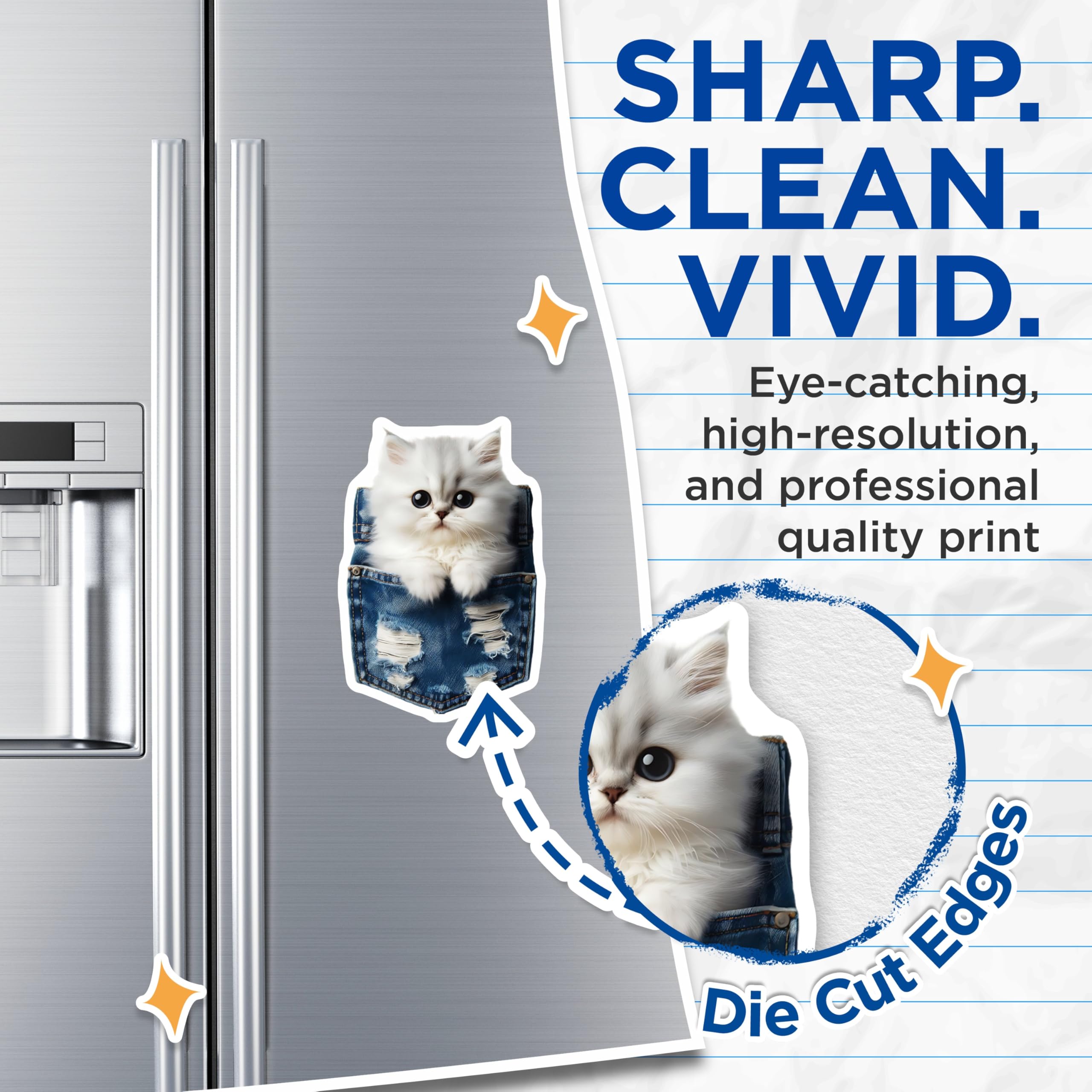 (2 Pack) Kitten in Pocket Magnets - Cute Cat Decor - Refrigerator Magnets - 5" On Longest Side - Premium Magnet - for Cars, Refrigerators, Toolboxes, Lockers - Made in USA - MAG15360