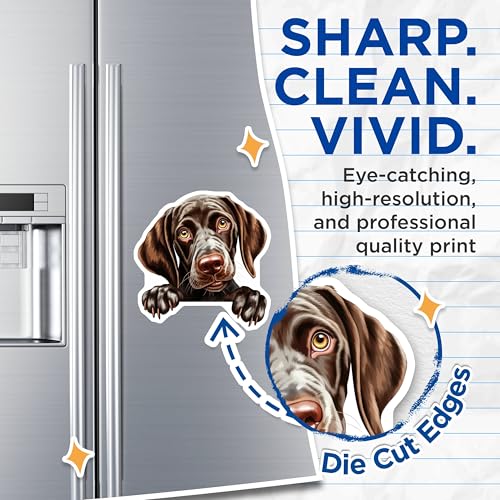 (2 Pack) Animal Lover Decor Magnet - 5" On Longest Side - Sticks to Smooth Flat Surfaces - Made in USA - MAG10176