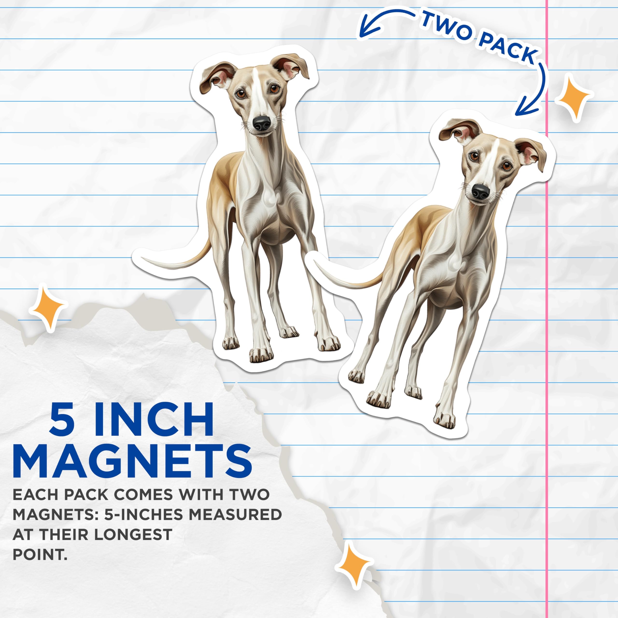 (2 Pack) Whippet Dog Magnets - Sighthound Breed Art - Fawn White Whippet Decor - Canine Lover Accents - 5 Inches On Longest Side - Thick Durable Magnet - Made in USA - MAG29381
