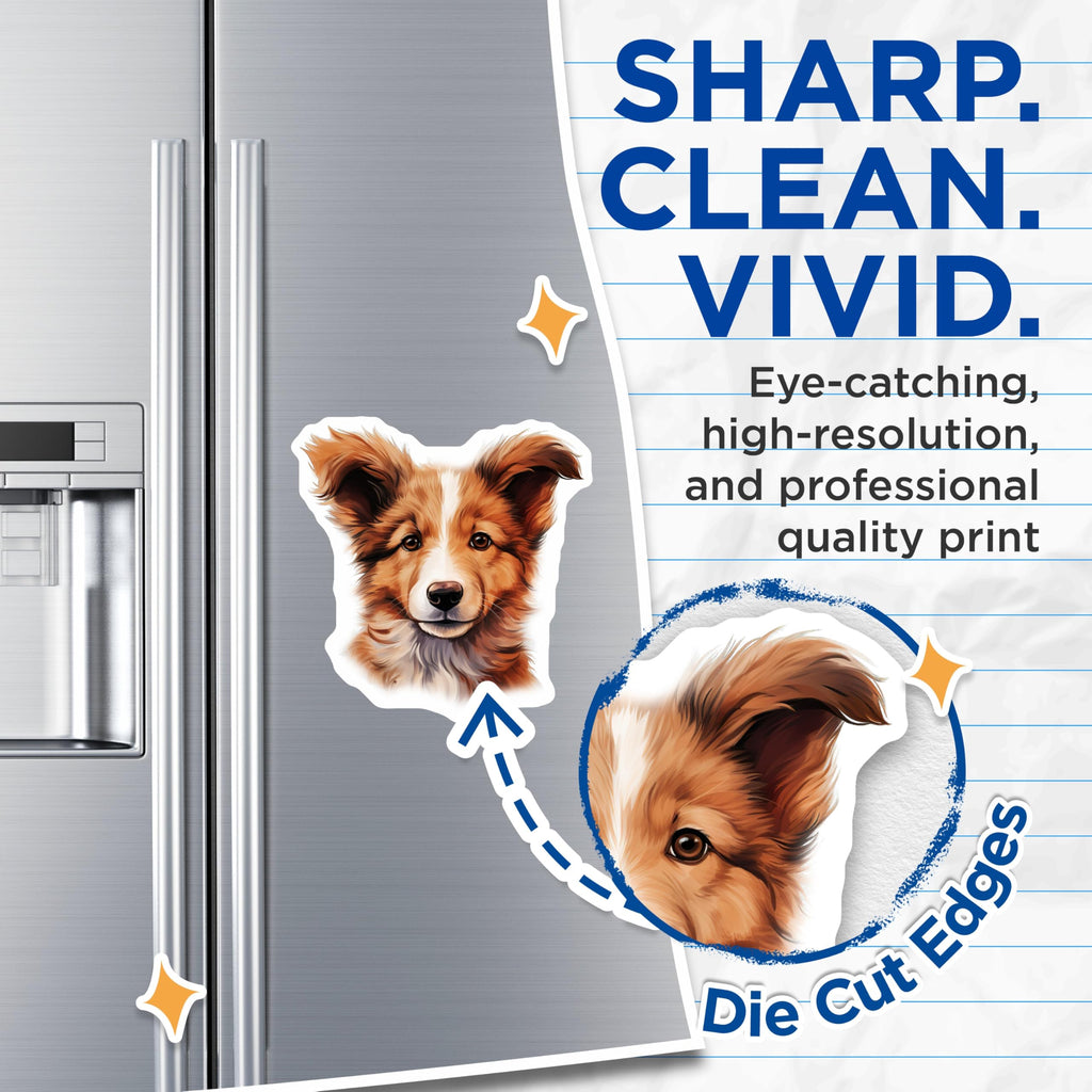 (2 Pack) Adorable Border Collie Puppy Magnets - Dog Lover Fridge Decor - Pet Parent Locker Accessory - 5 Inches On Longest Side - Thick Durable Magnet - Made in USA - MAG28003