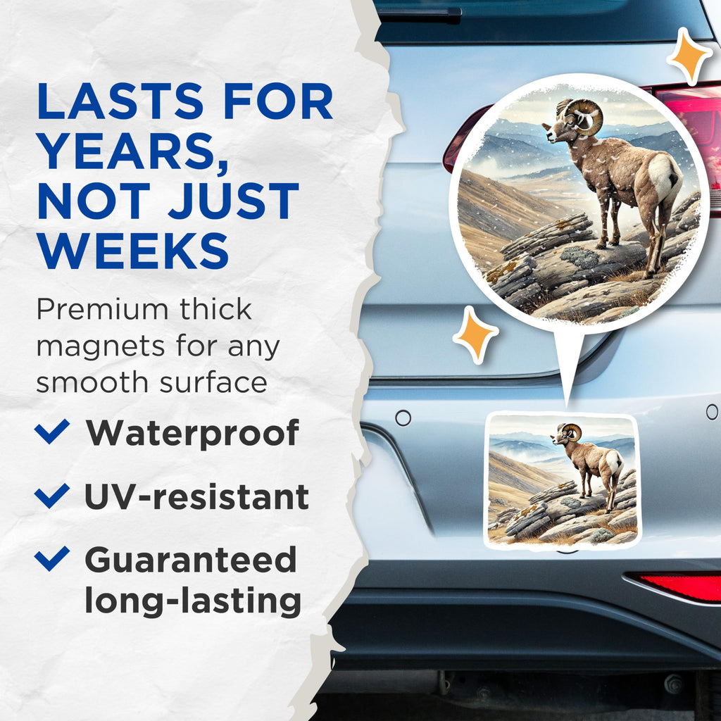 (2 Pack) Bighorn Sheep Magnets - Mountain Ram Decor - Wildlife Fridge Decorations - 5" On Longest Side - Premium Magnet - for Cars, Refrigerators, Toolboxes, Lockers - Made in USA - MAG18233