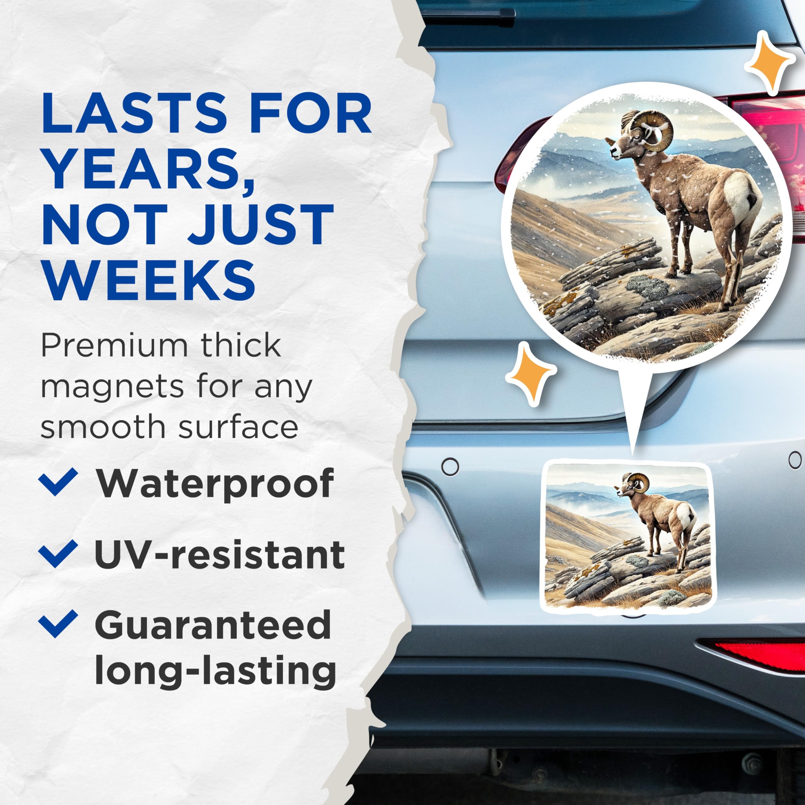 (2 Pack) Bighorn Sheep Magnets - Mountain Ram Decor - Wildlife Fridge Decorations - 5" On Longest Side - Premium Magnet - for Cars, Refrigerators, Toolboxes, Lockers - Made in USA - MAG18233