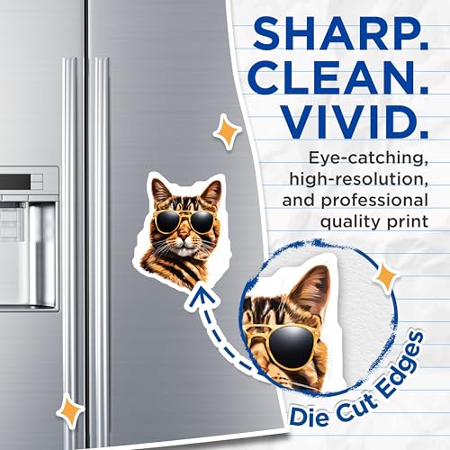(2 Pack) Cool Cat Sunglasses Magnets - Funny Animal Magnets - Kitty with Shades Decor Magnets - 5" On Longest Side - for Cars, Refrigerators, Toolboxes, Lockers - Made in USA MAG3577