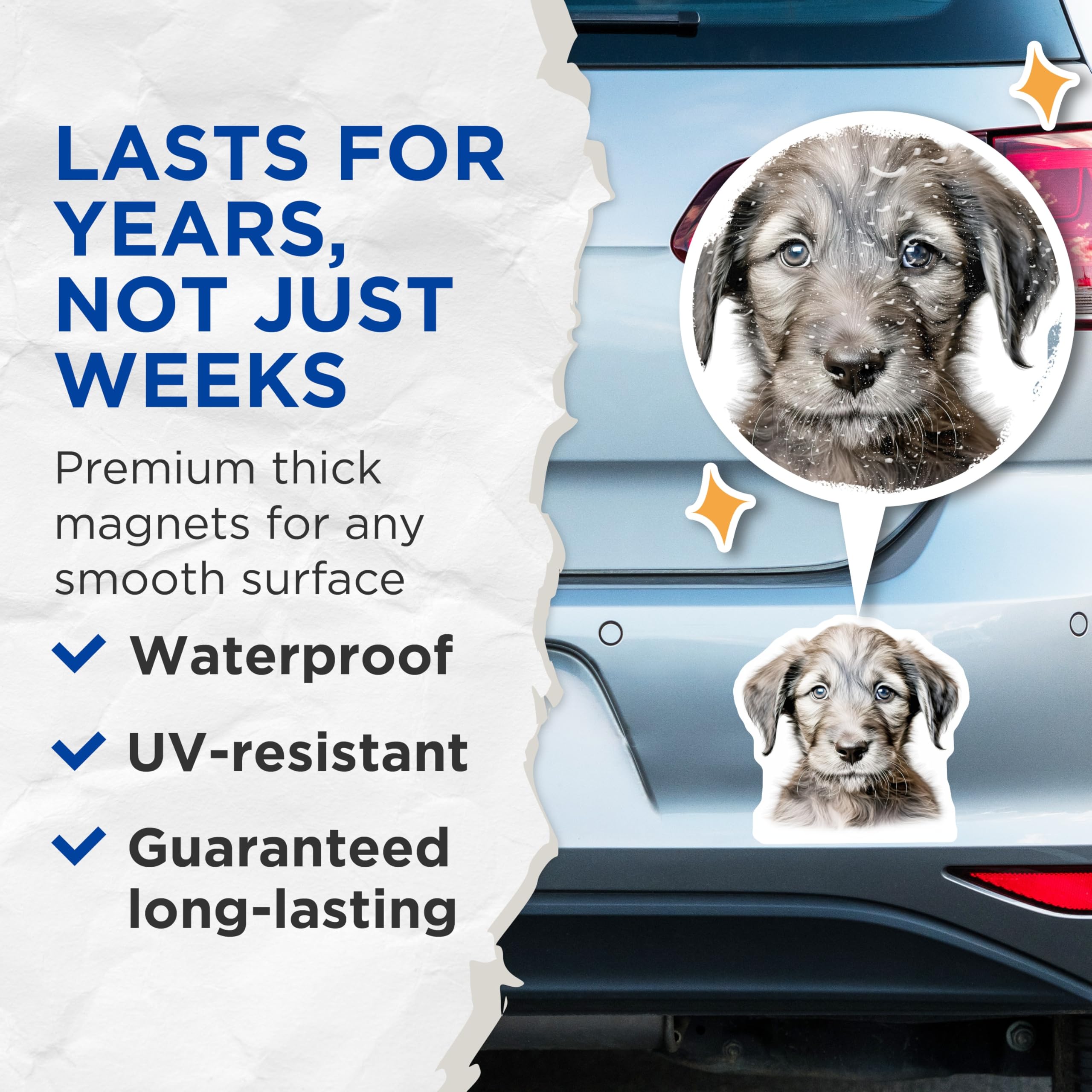 (2 Pack) Cute Scruffy Puppy Magnets - Dog Owner Refrigerator Decor - Pet Parent Animal Enthusiast - 5 Inches On Longest Side - Thick Durable Magnet - Made in USA - MAG29926