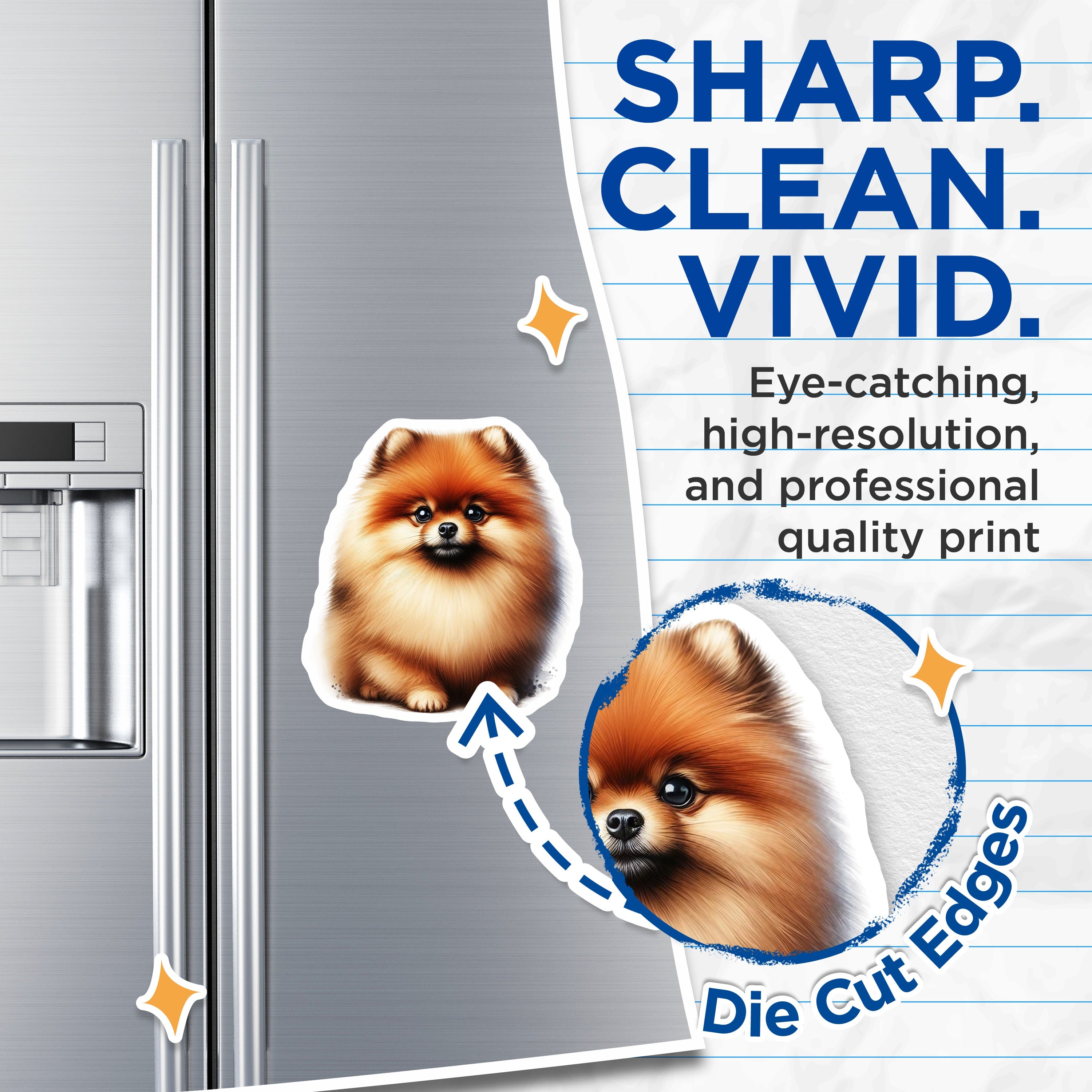 (2 Pack) Cute Fluffy Pomeranian Dog Magnets - Adorable Pet Lover Accessory - Fridge Decor - Locker Art - 5 Inches On Longest Side - Thick Durable Magnet - Made in USA - MAG37156
