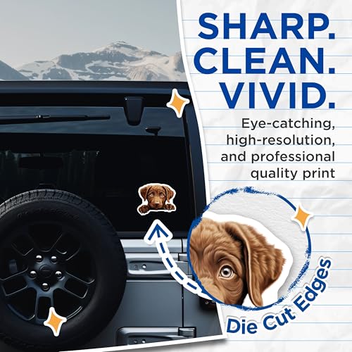 (2 Pack) Adorable Puppy Stickers - Cute Dog - Animal Lover - 5" On Longest Side - Sticks to Smooth Flat Surfaces - Made in USA - BMCS9928