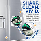 (2 Pack) Lips Money Magnets - Artistic Dollar Bill - Dollar Design ation - 5" On Longest Side - for Cars, Fridges, Toolboxes - Made in USA - MAG4564