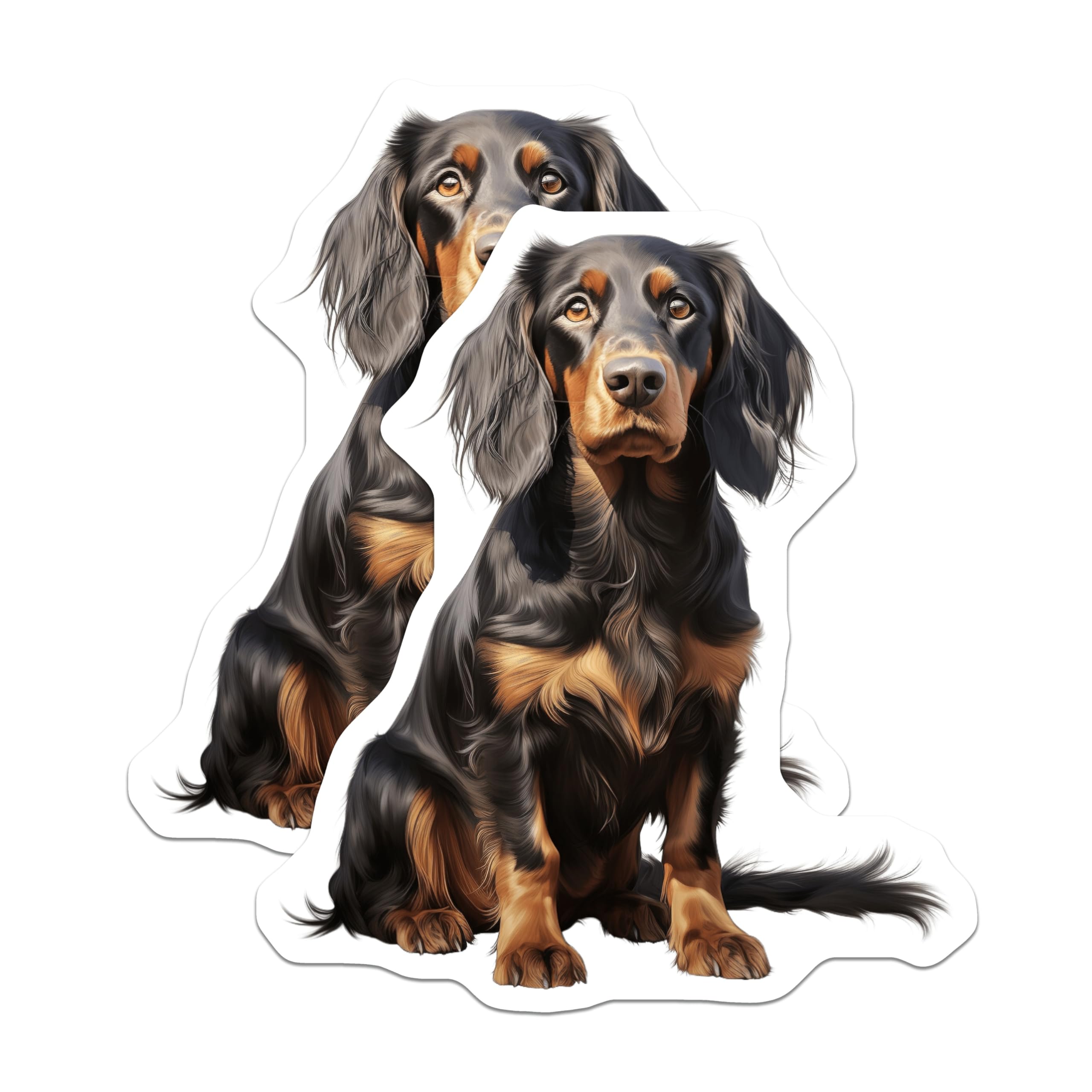 (2 Pack) Black Tan Dog Magnets - Long Haired Coonhound Gordon Setter - Pet Owner Refrigerator Decor - 5 Inches On Longest Side - Thick Durable Magnet - Made in USA - MAG26981