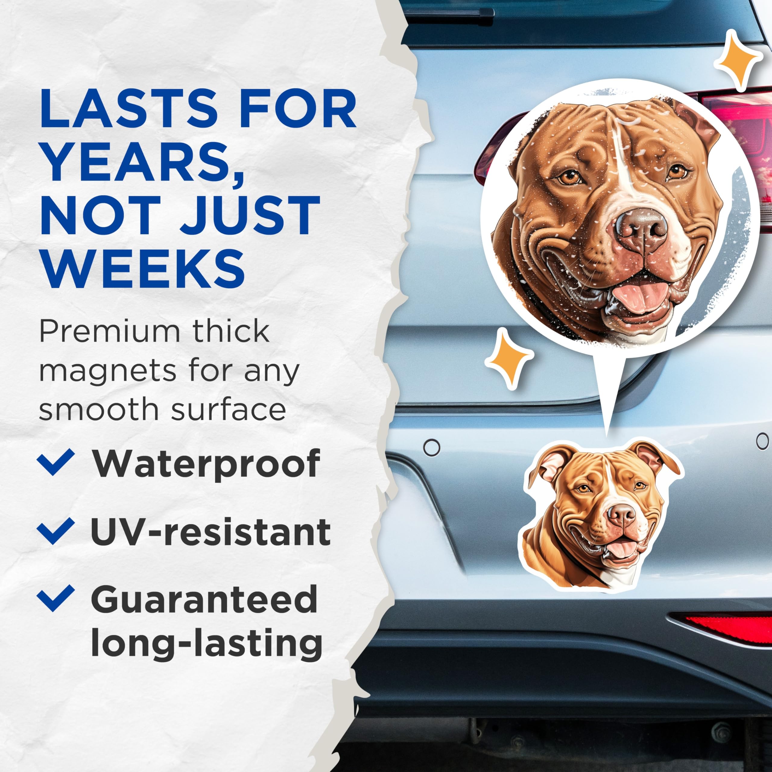 (2 Pack) Pitbull Dog Magnets - Smiling Pitbull Art - Dog Lover Kitchen Fridge Magnet - Pet Owner Decor - 5 Inches On Longest Side - Thick Durable Magnet - Made in USA - MAG29928