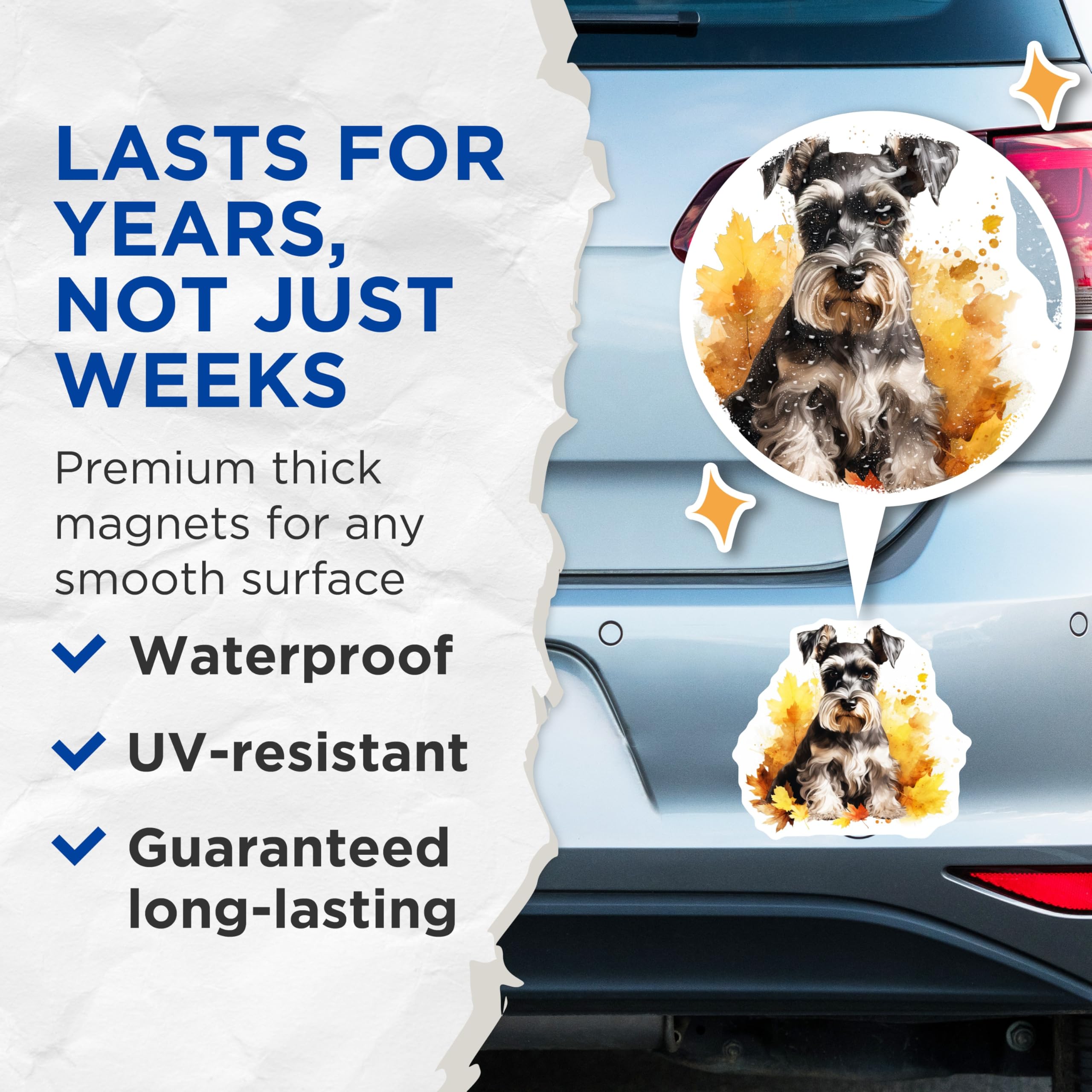 (2 Pack) Miniature Schnauzer Magnets - Autumn Leaves Decor - Dog Lover Fridge Art - 5 Inches On Longest Side - Thick Durable Magnet - Made in USA - MAG25948