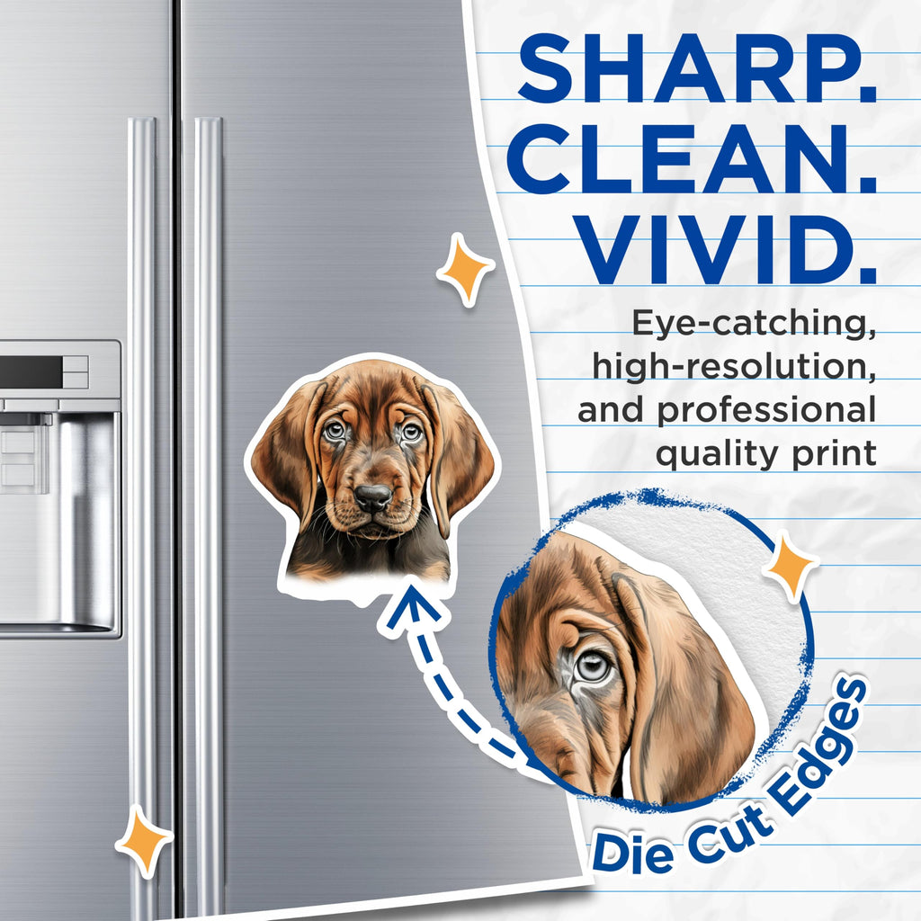 (2 Pack) Soulful Puppy Dog Magnets - Cute Hound Puppy Decor - Pet Lover Refrigerator Accessory - 5 Inches On Longest Side - Thick Durable Magnet - Made in USA - MAG26254