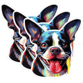 (3 Pack) Boston Terrier Decals - Cute Dog Decal - Laptop Decals - 3 Inches On Longest Side - Easy Peel & Apply - Made in USA - 3MCS0665