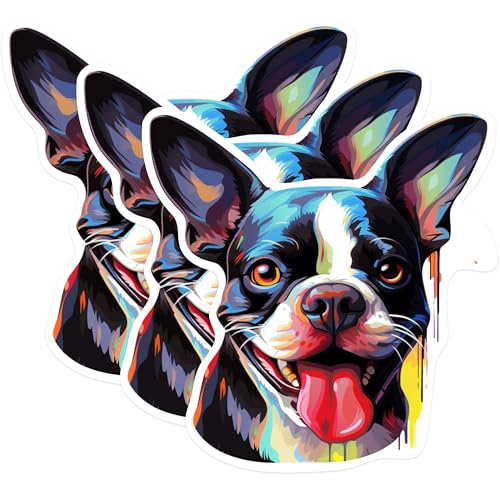 (3 Pack) Boston Terrier Decals - Cute Dog Decal - Laptop Decals - 3 Inches On Longest Side - Easy Peel & Apply - Made in USA - 3MCS0665