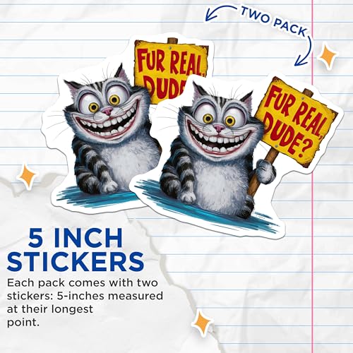 (2 Pack) Fur Real Dude Stickers - Funny Cat Quote - Animal Meme Decal - 5" On Longest Side - Sticks to Smooth Flat Surfaces - Made in USA - BMCS8775