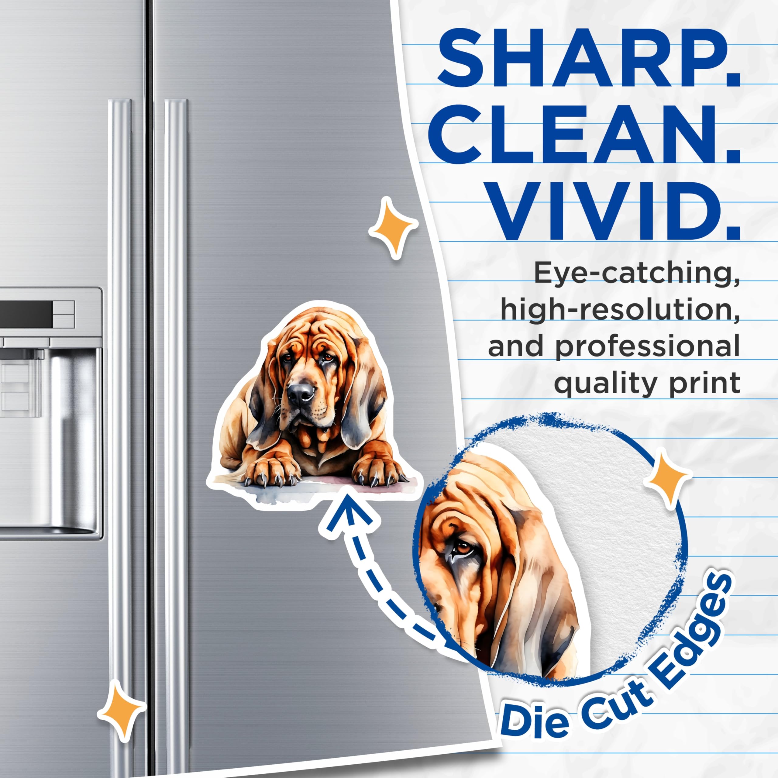 (2 Pack) Bloodhound Magnets - Dog Breed Art Magnets - Hound Dog Fridge Magnets - 5" On Longest Side - Premium Magnet - for Cars, Refrigerators, Toolboxes, Lockers - Made in USA - MAG15283