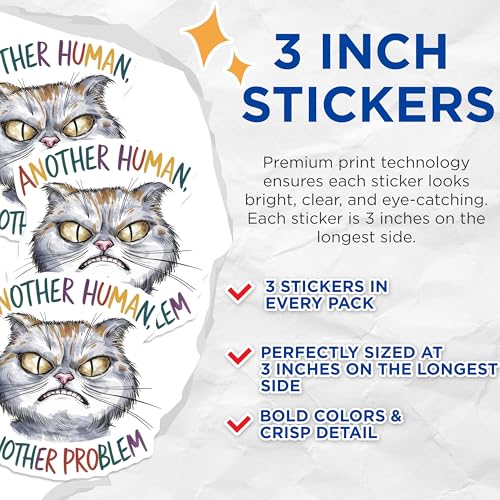 (3 Pack) Grumpy Cat Decals - Sarcastic Cat - Another Problem Stickers - 3 Inches On Longest Side - Easy Peel & Apply - Made in USA - 3MCS7325